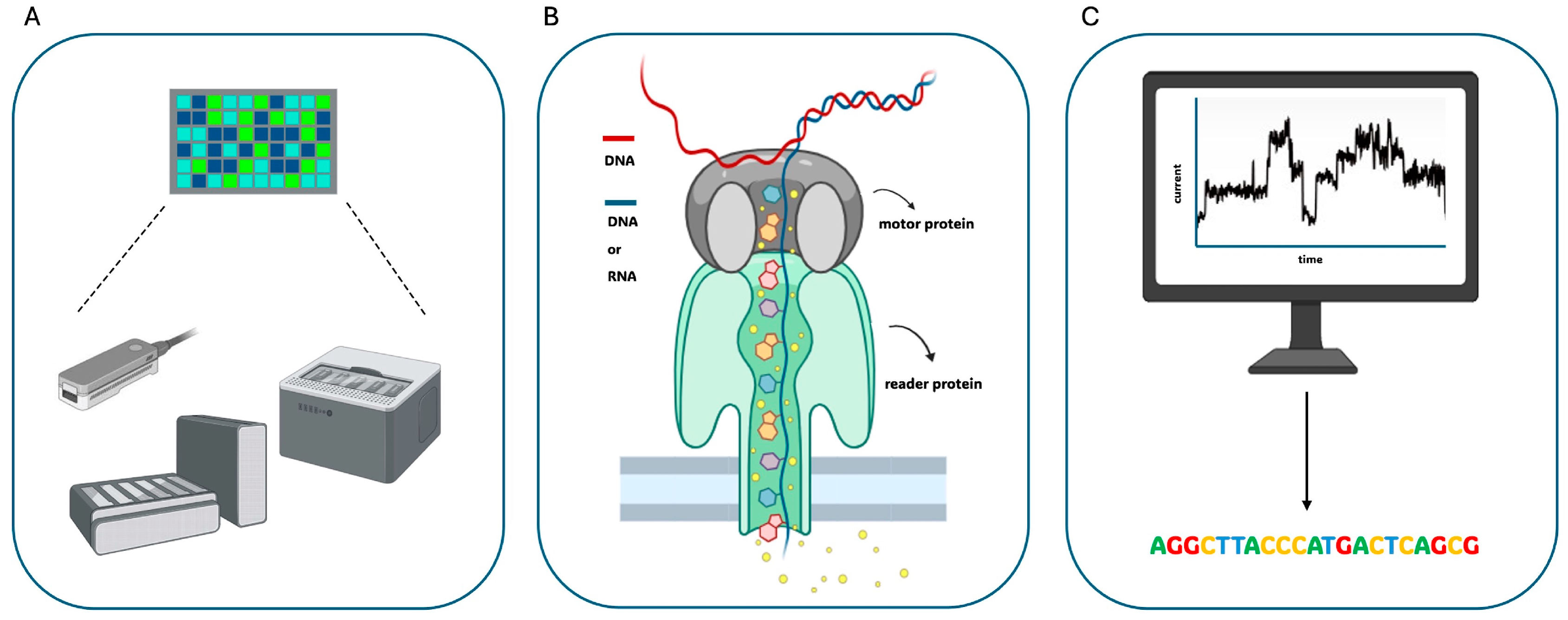 Biomolecules 14 00568 g004