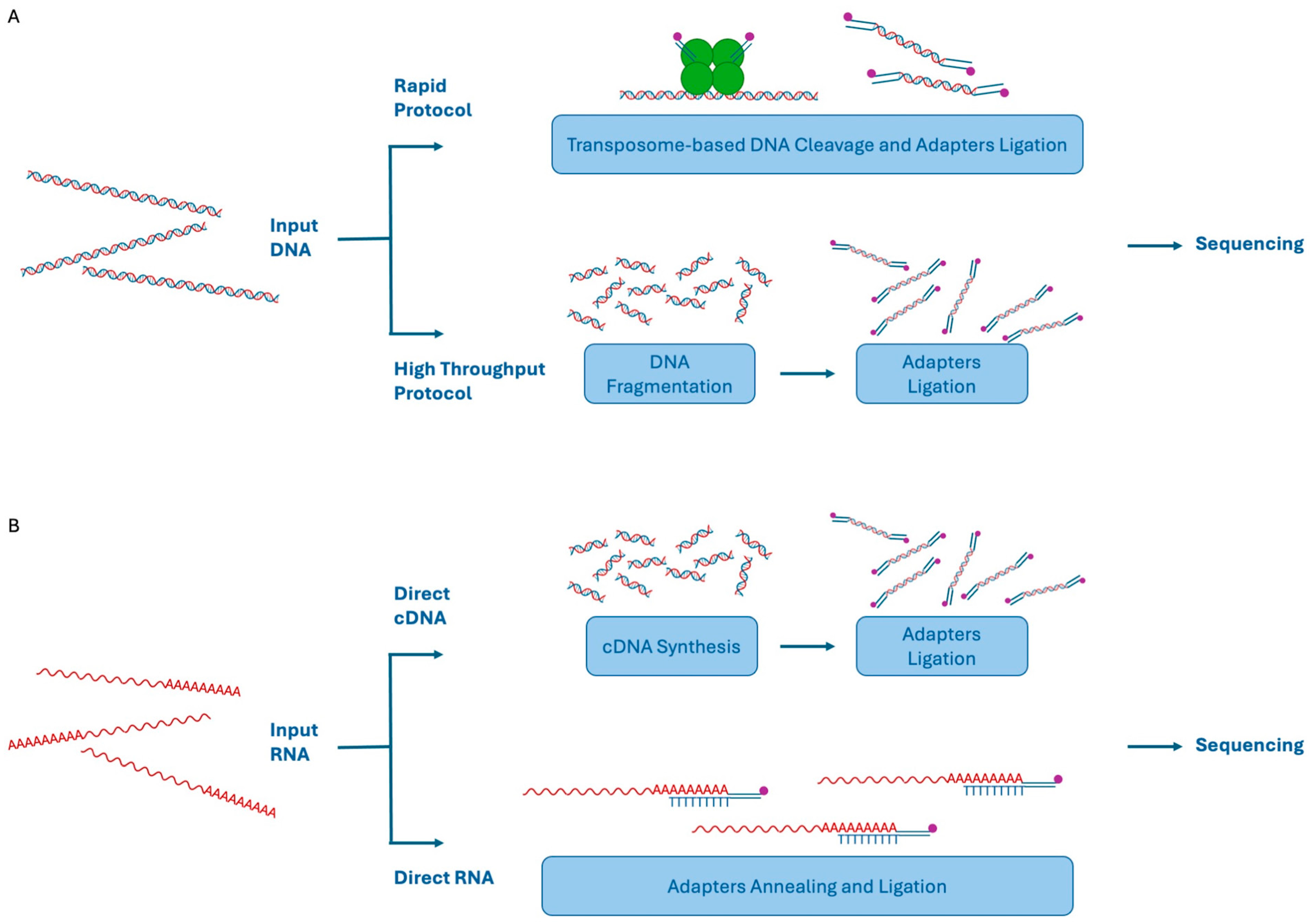 Biomolecules 14 00568 g005