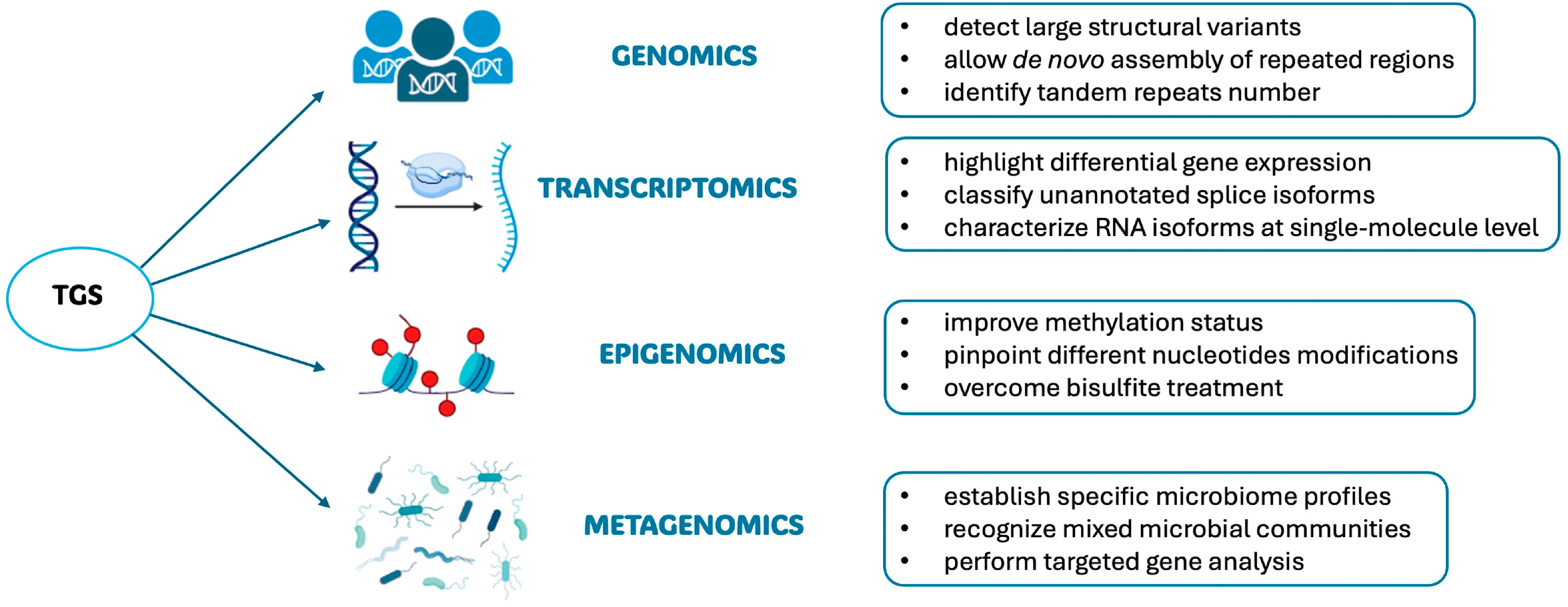 Biomolecules 14 00568 g006