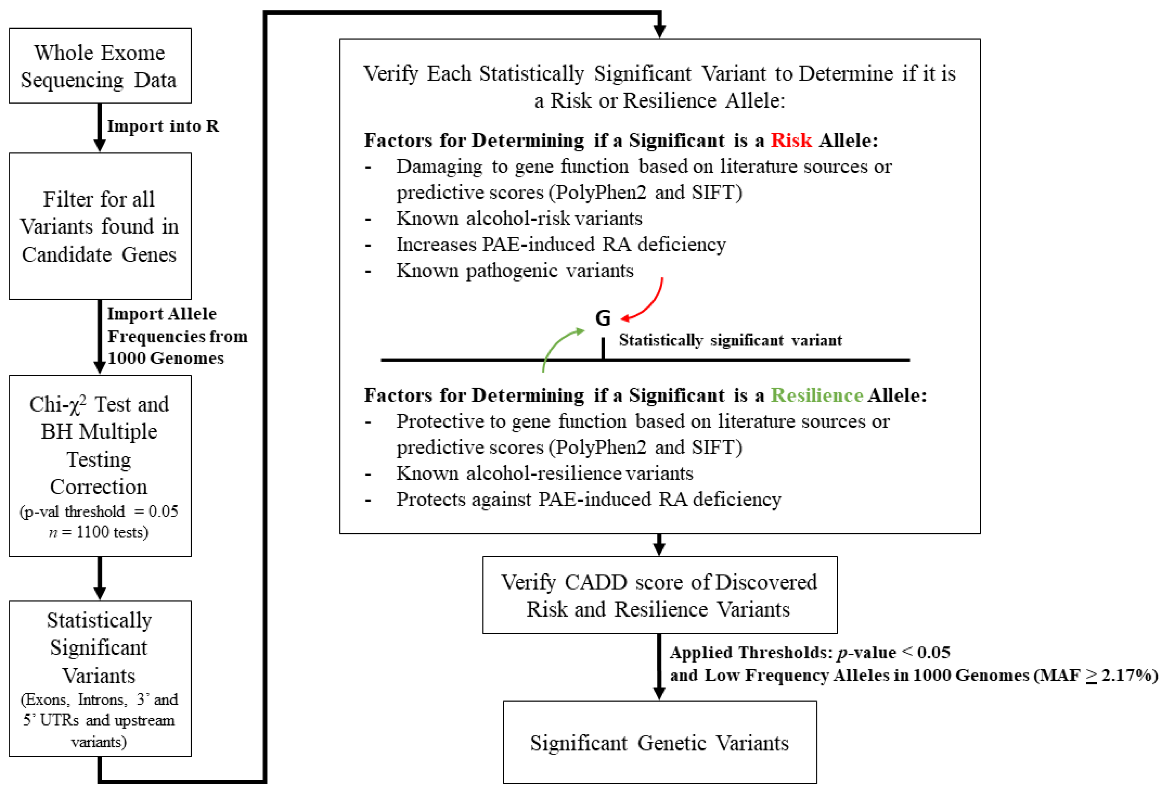 Biomolecules 14 00569 g001