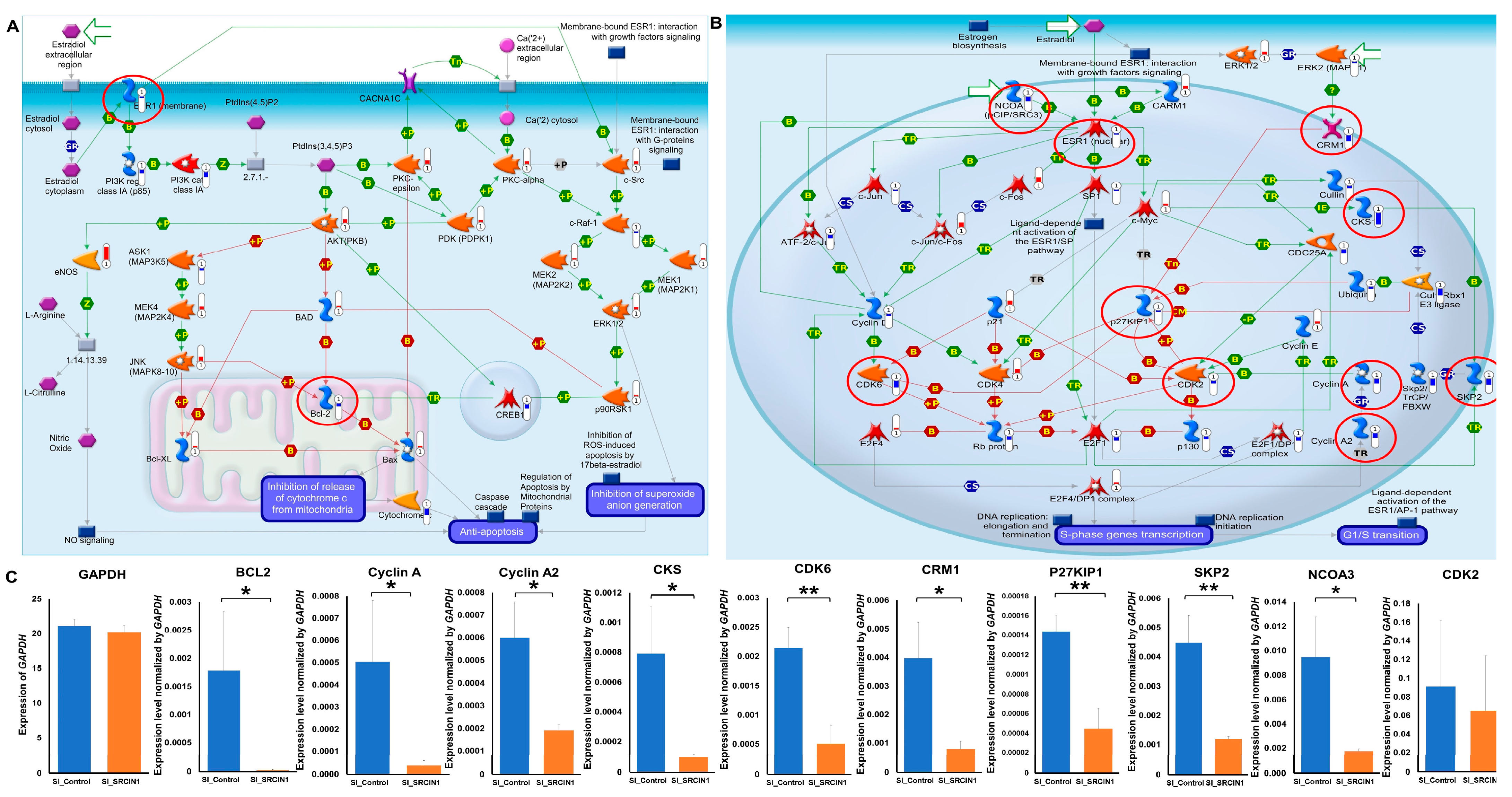 Biomolecules 14 00571 g006
