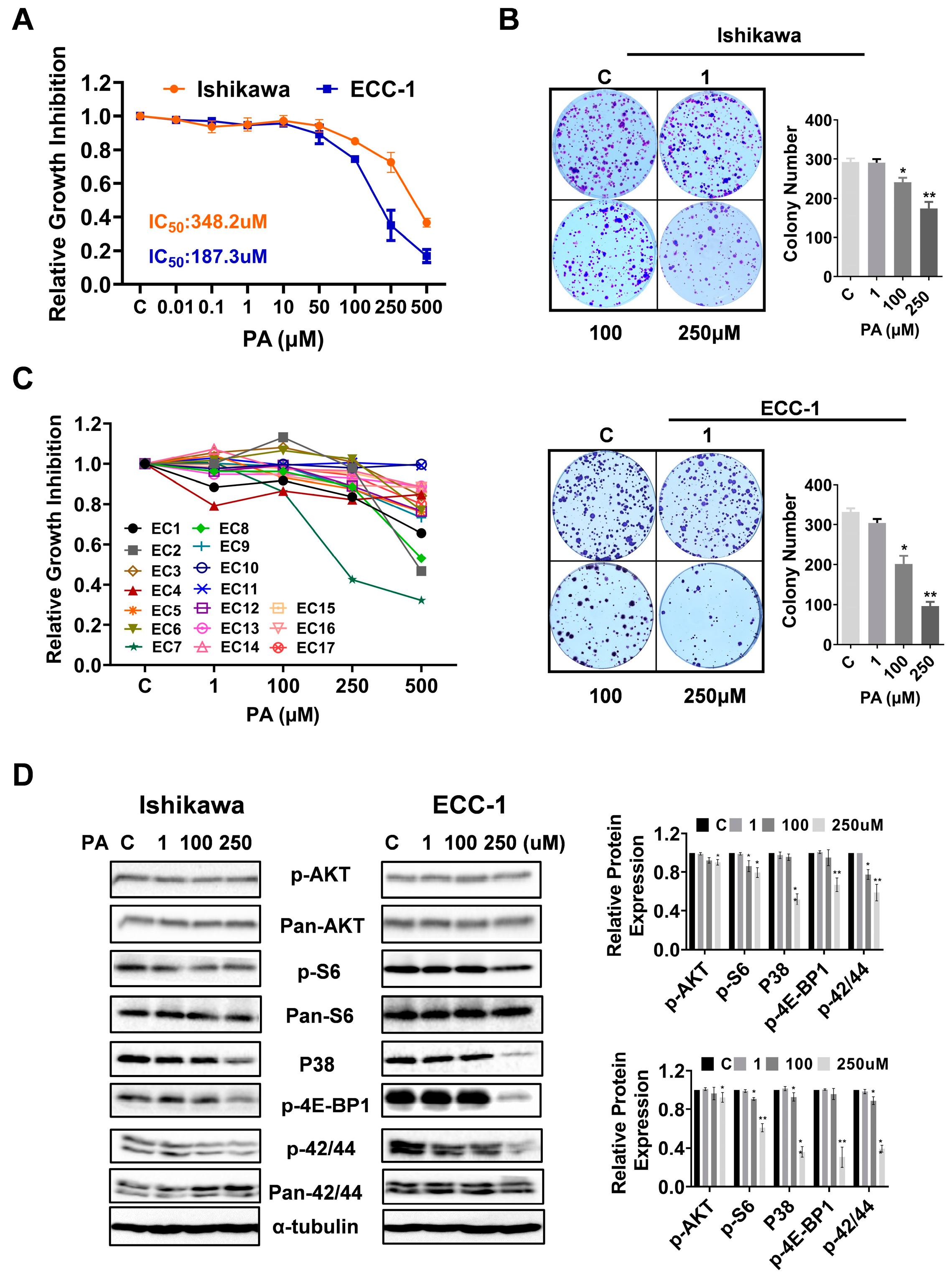 Biomolecules 14 00601 g001