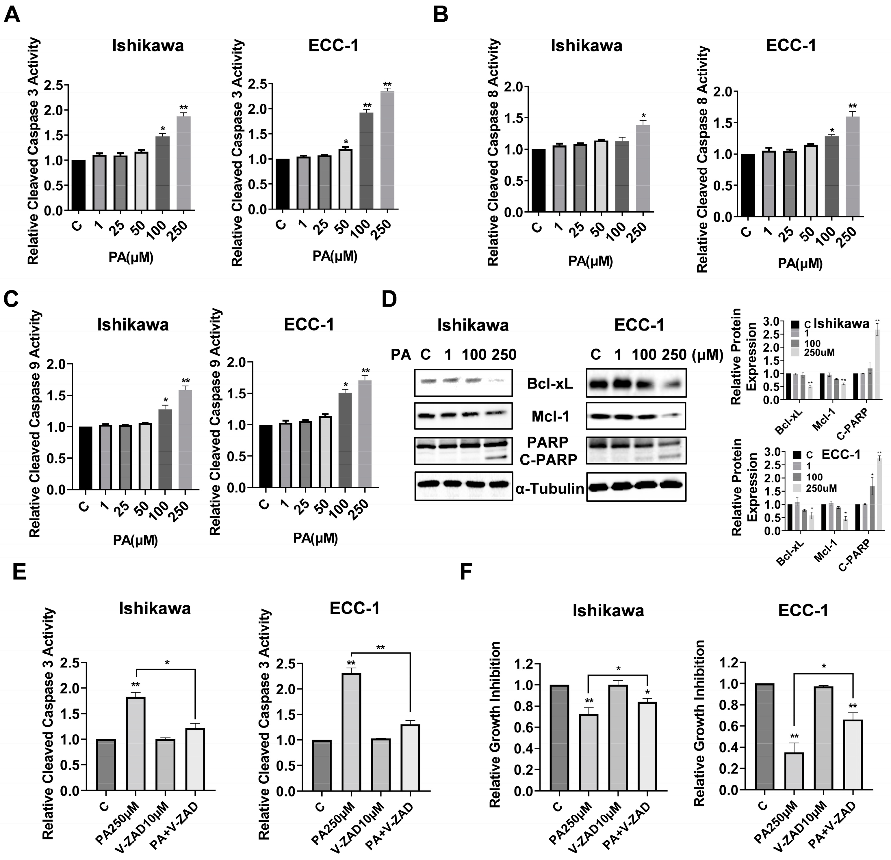 Biomolecules 14 00601 g002