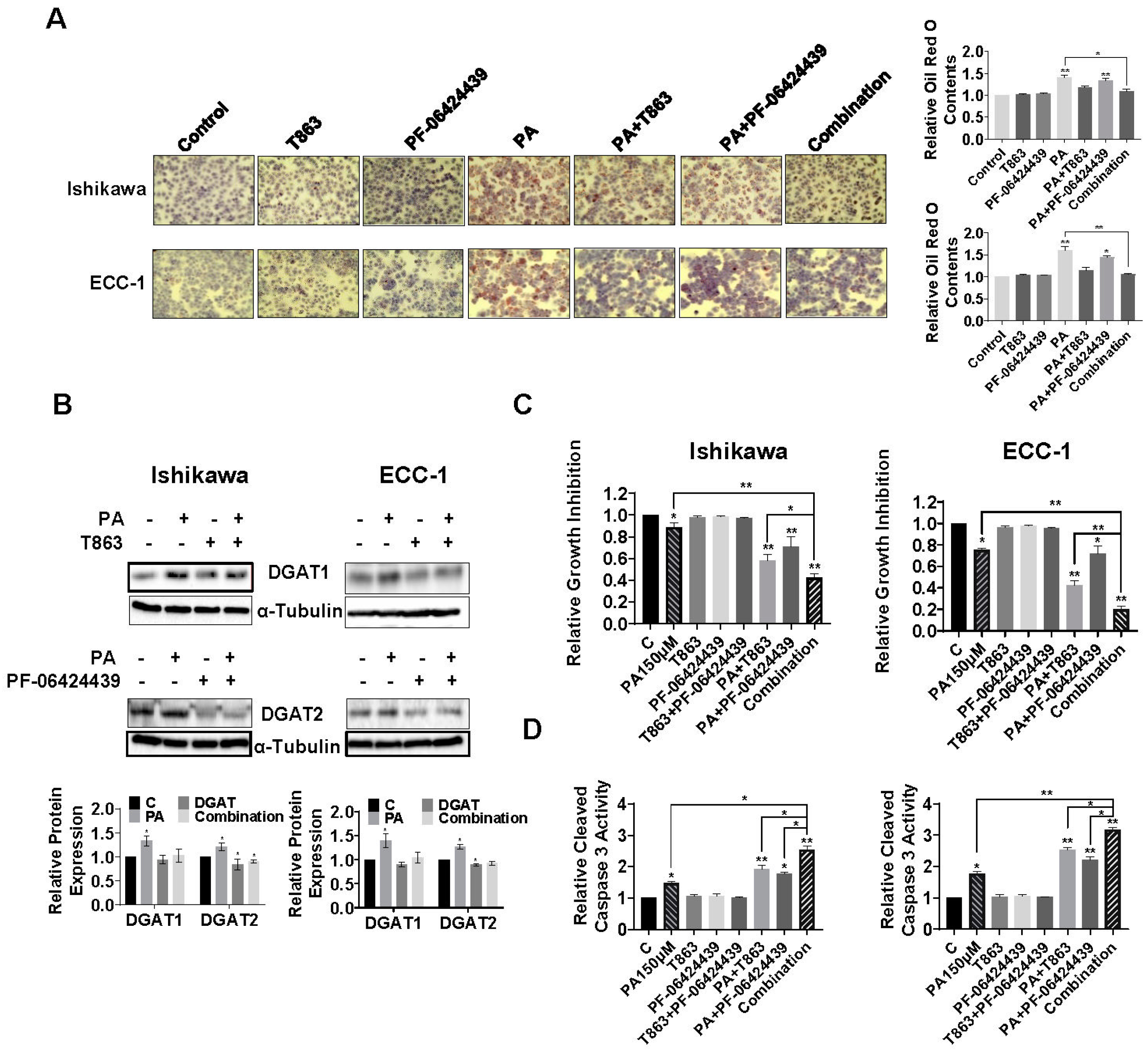Biomolecules 14 00601 g007