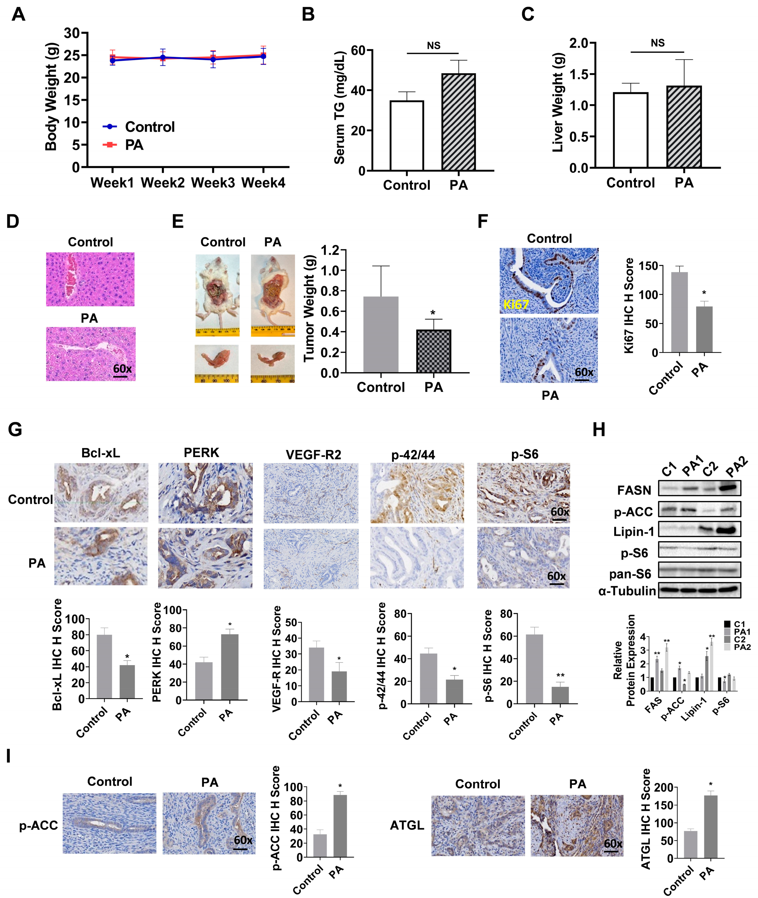 Biomolecules 14 00601 g008