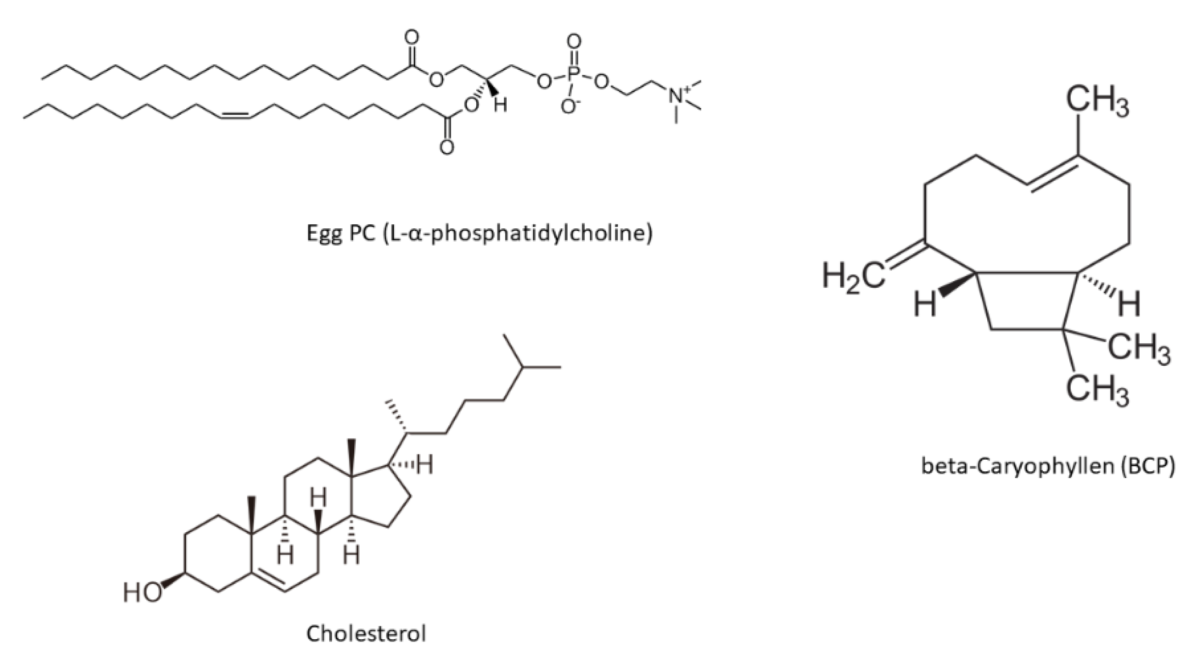 Biophysica 03 00033 g001