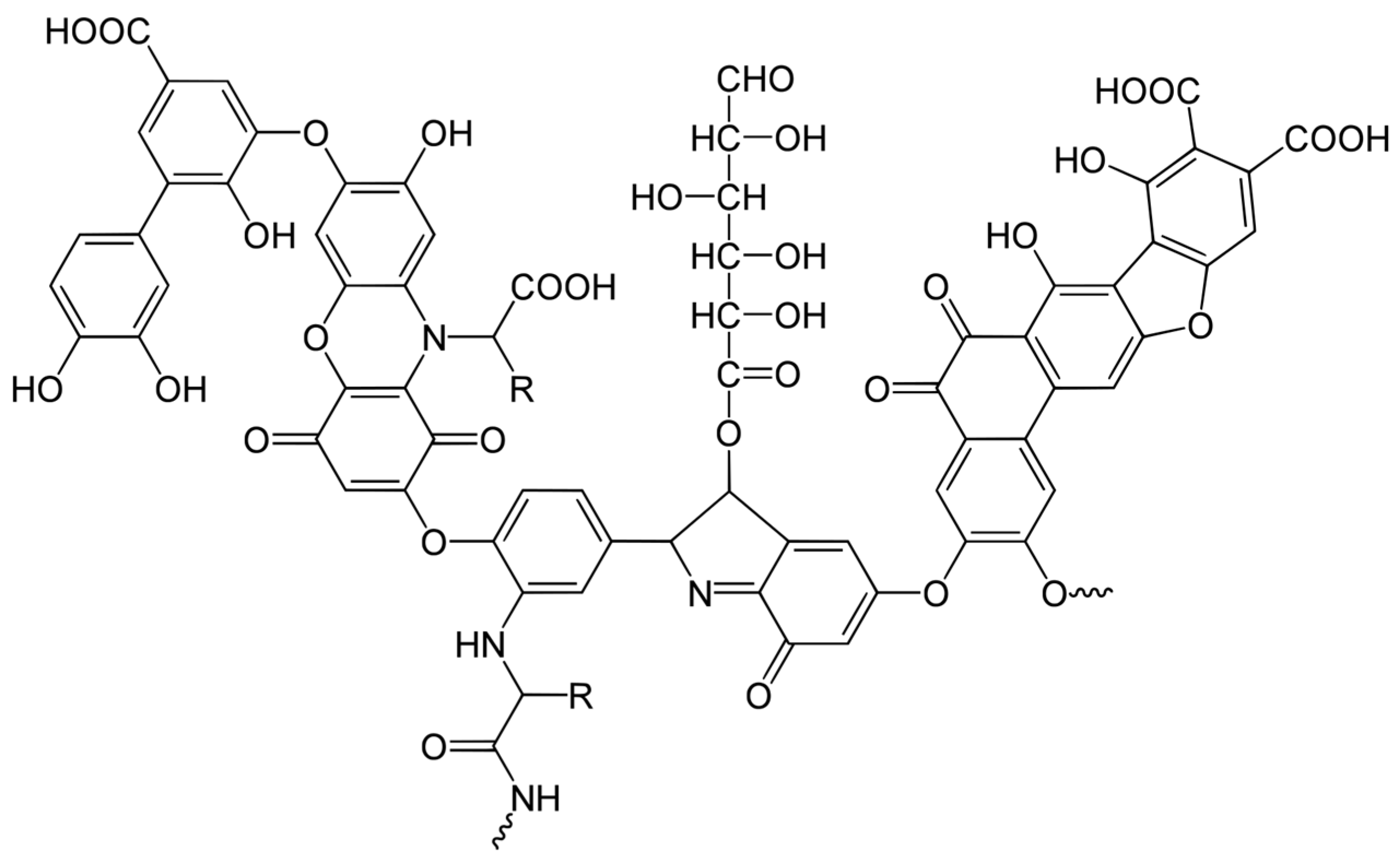 Biophysica 04 00008 g001