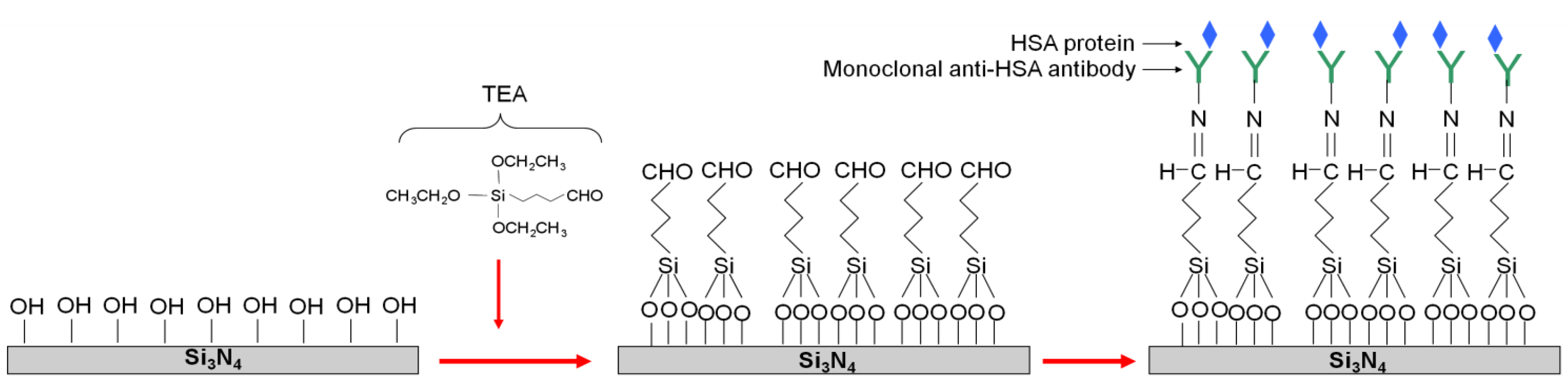 Biosensors 02 00114 g002