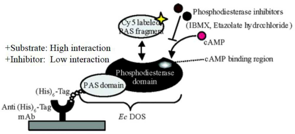 Biosensors 03 00211 g010