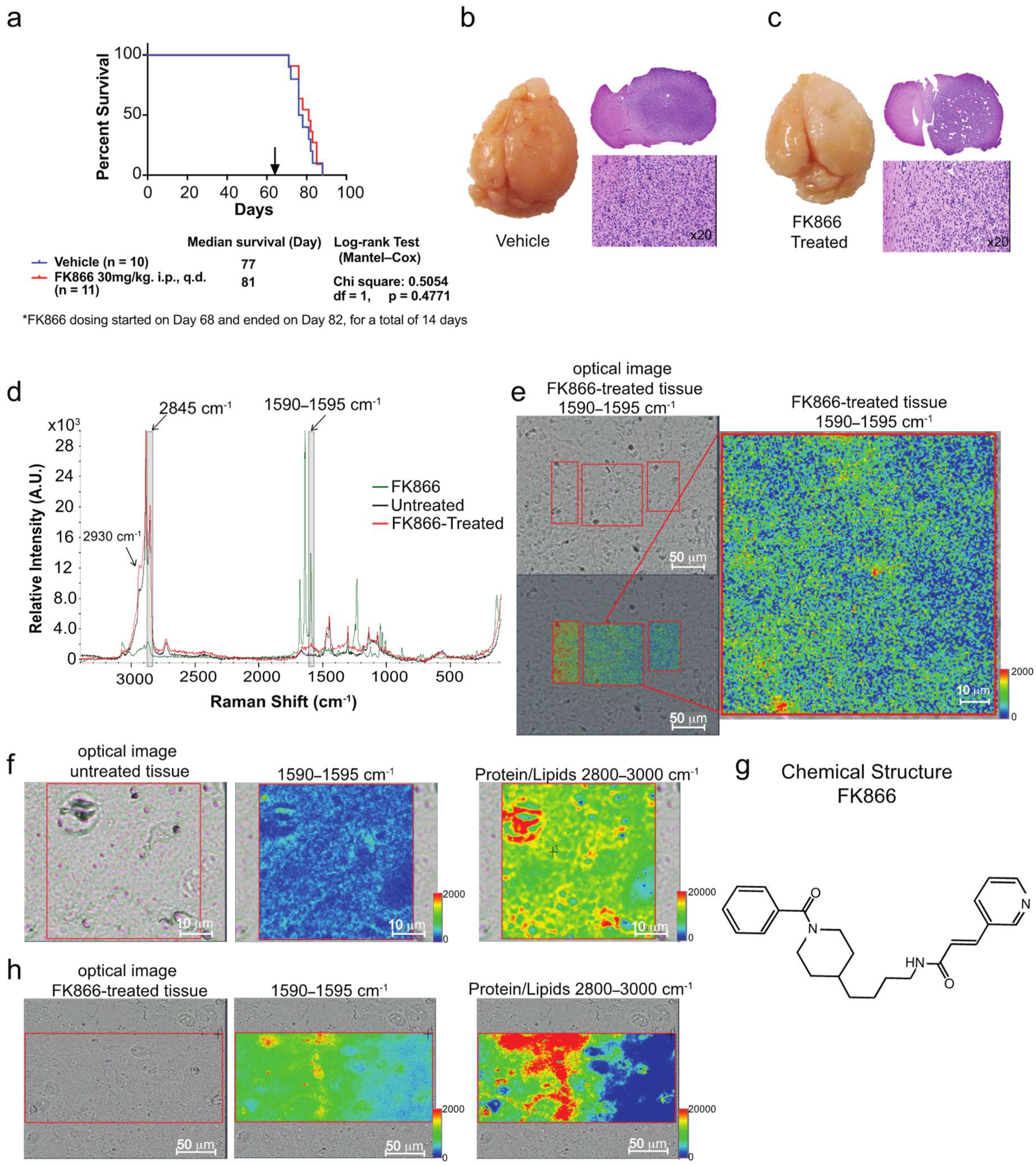 Biosensors 09 00005 g005