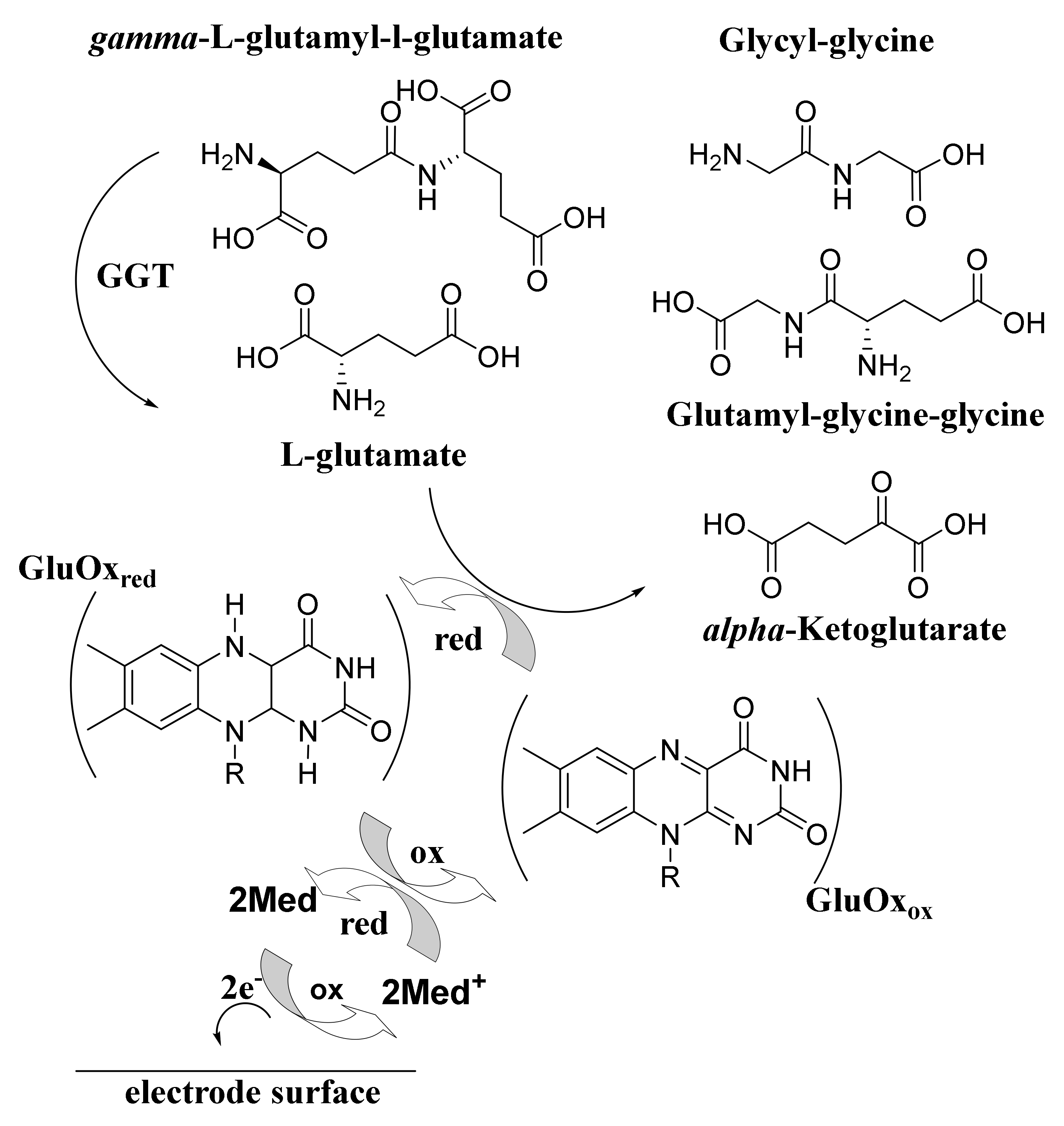 Biosensors 11 00254 sch003