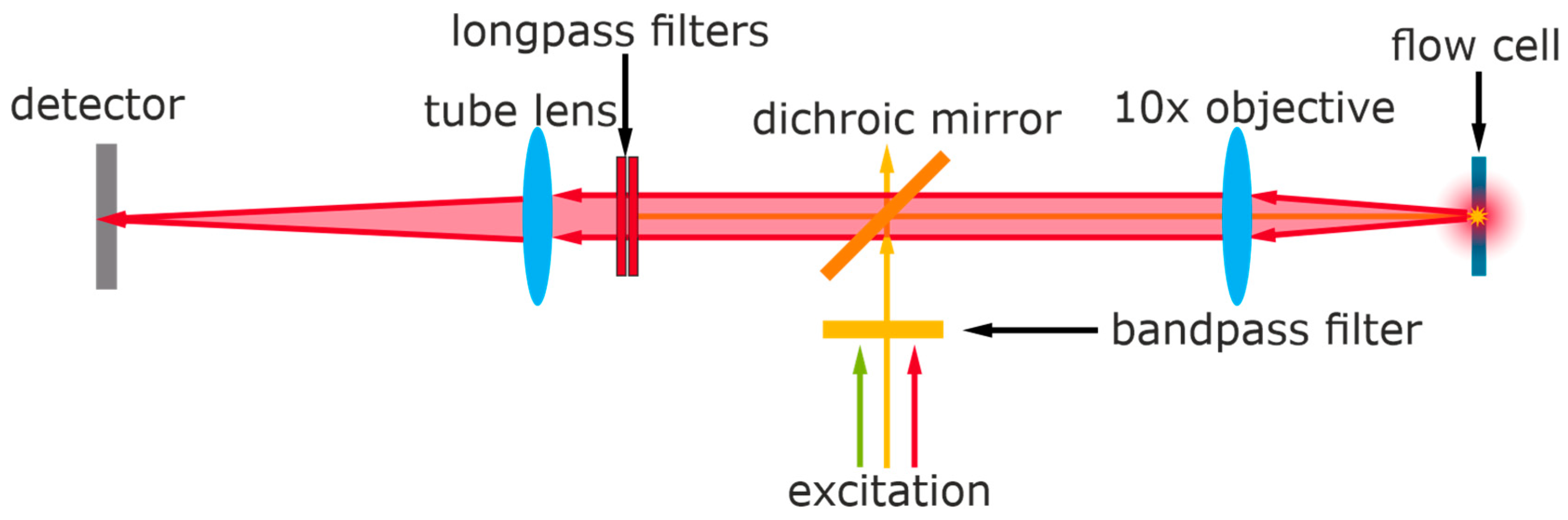 Biosensors 11 00313 g002
