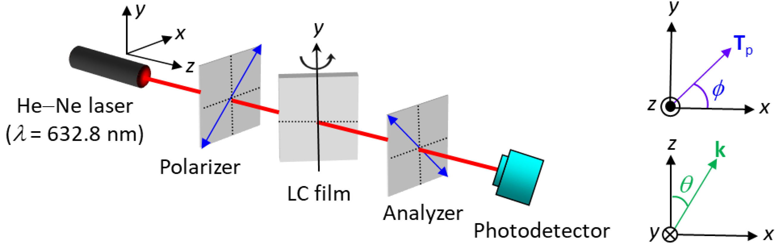 Biosensors 11 00374 g001