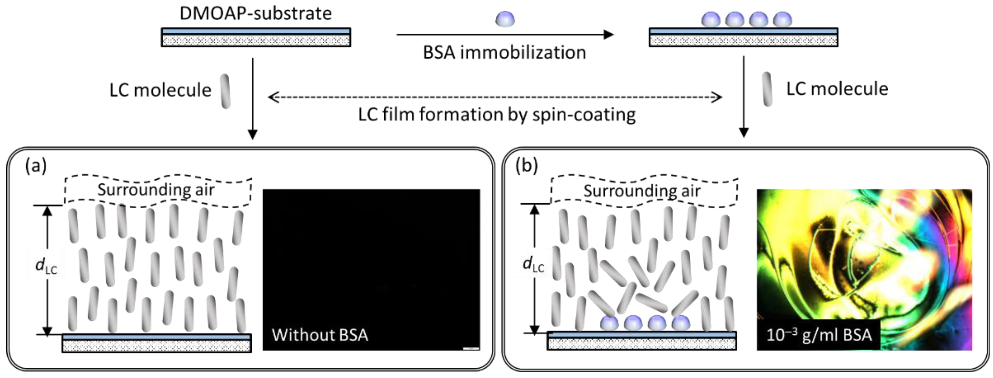 Biosensors 11 00374 g002
