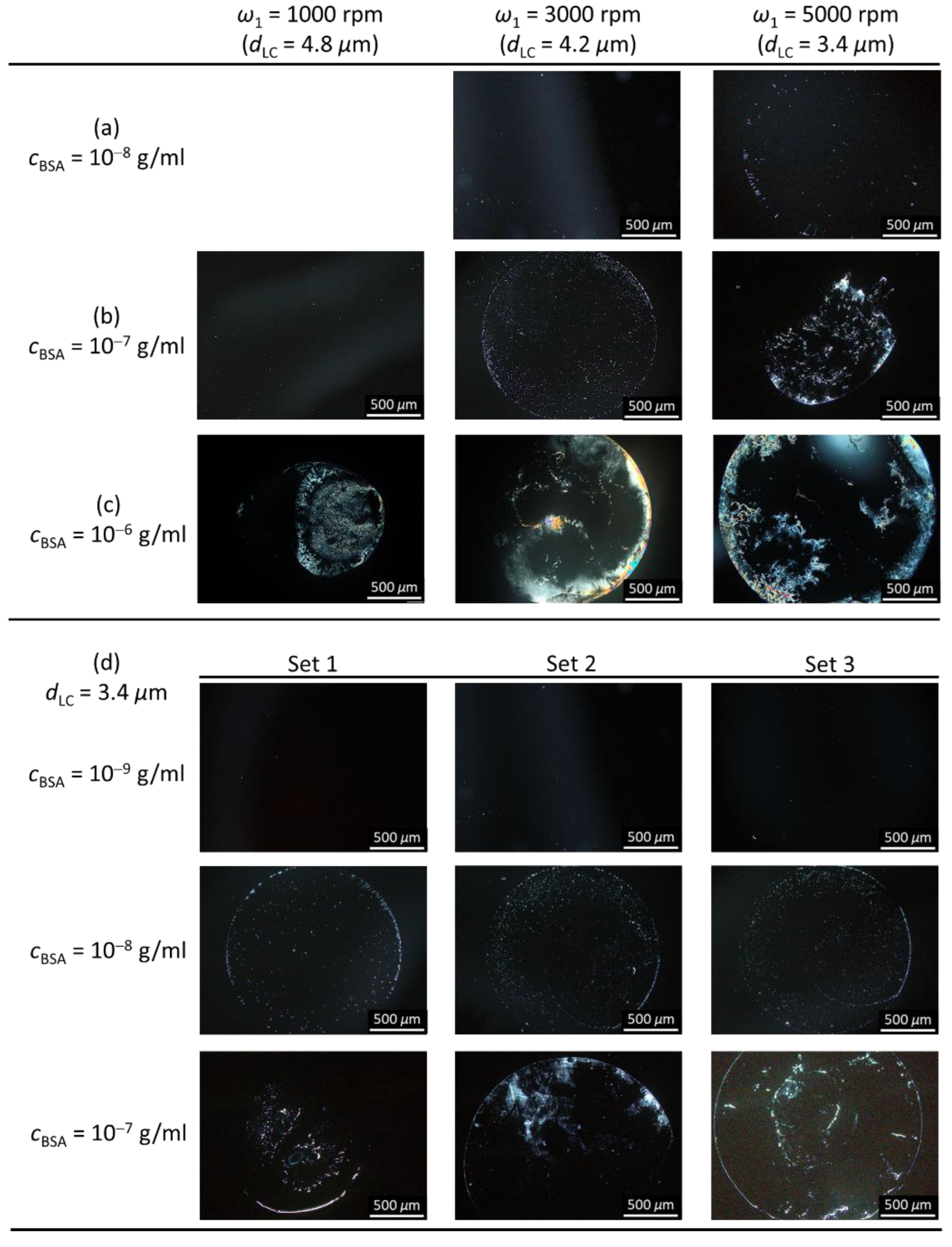 Biosensors 11 00374 g005