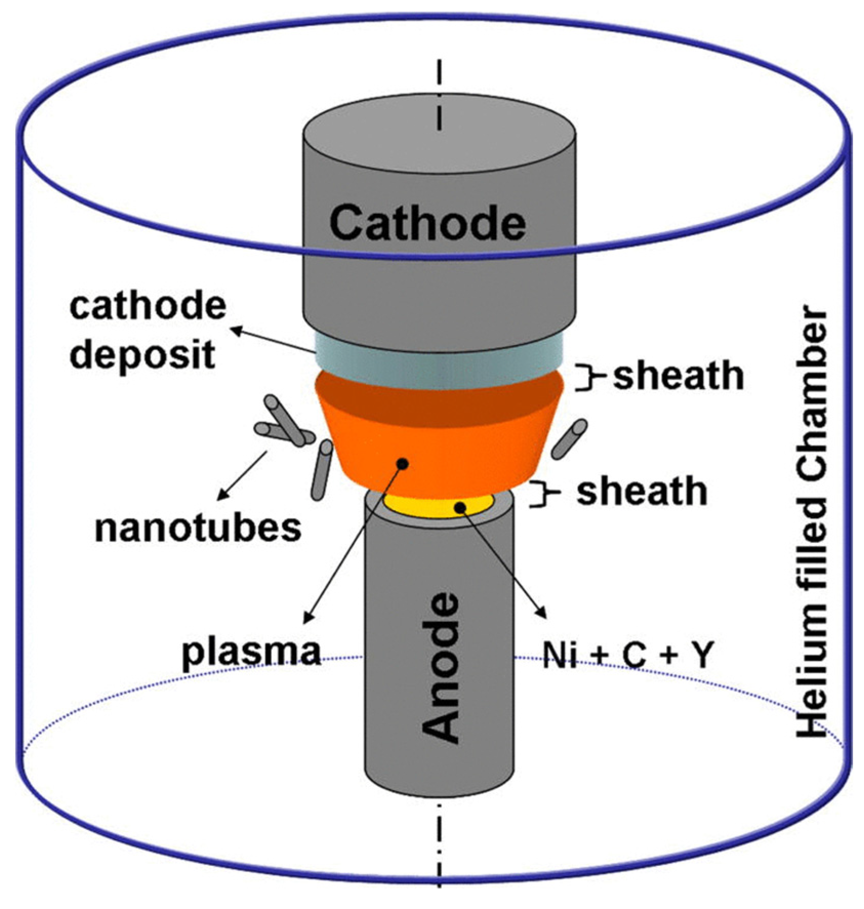 Biosensors 12 00269 g004