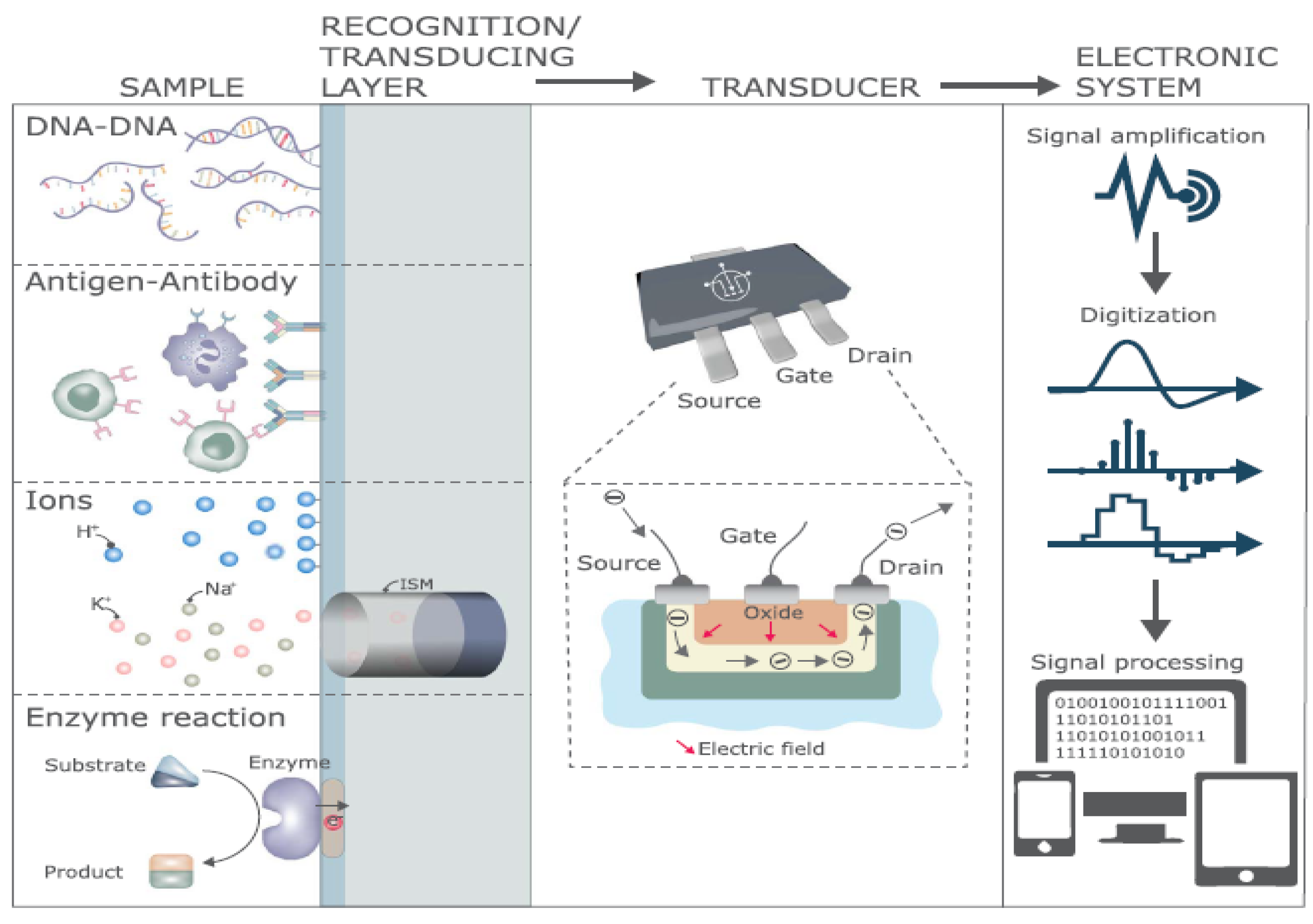 Biosensors 12 00269 g006
