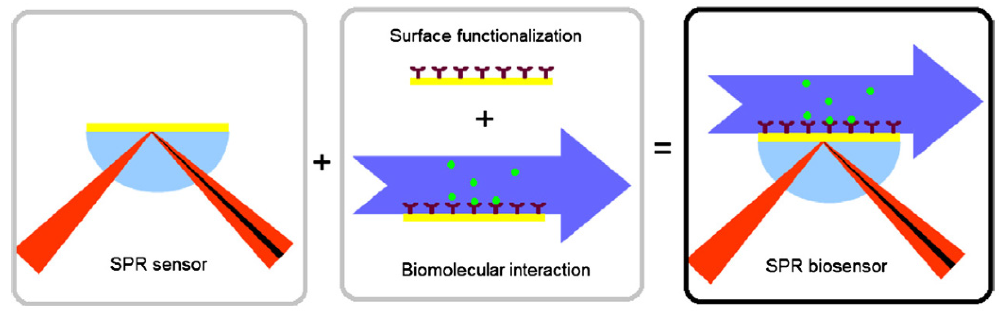 Biosensors 12 00269 g008