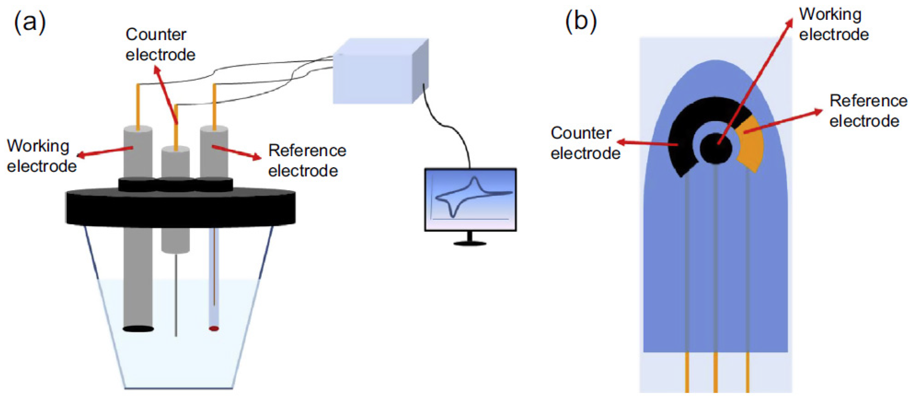 Biosensors 12 00269 g012
