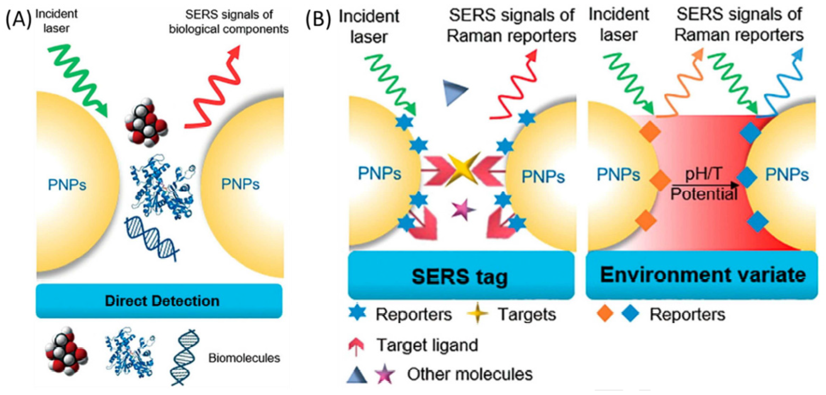 Biosensors 12 00269 g014