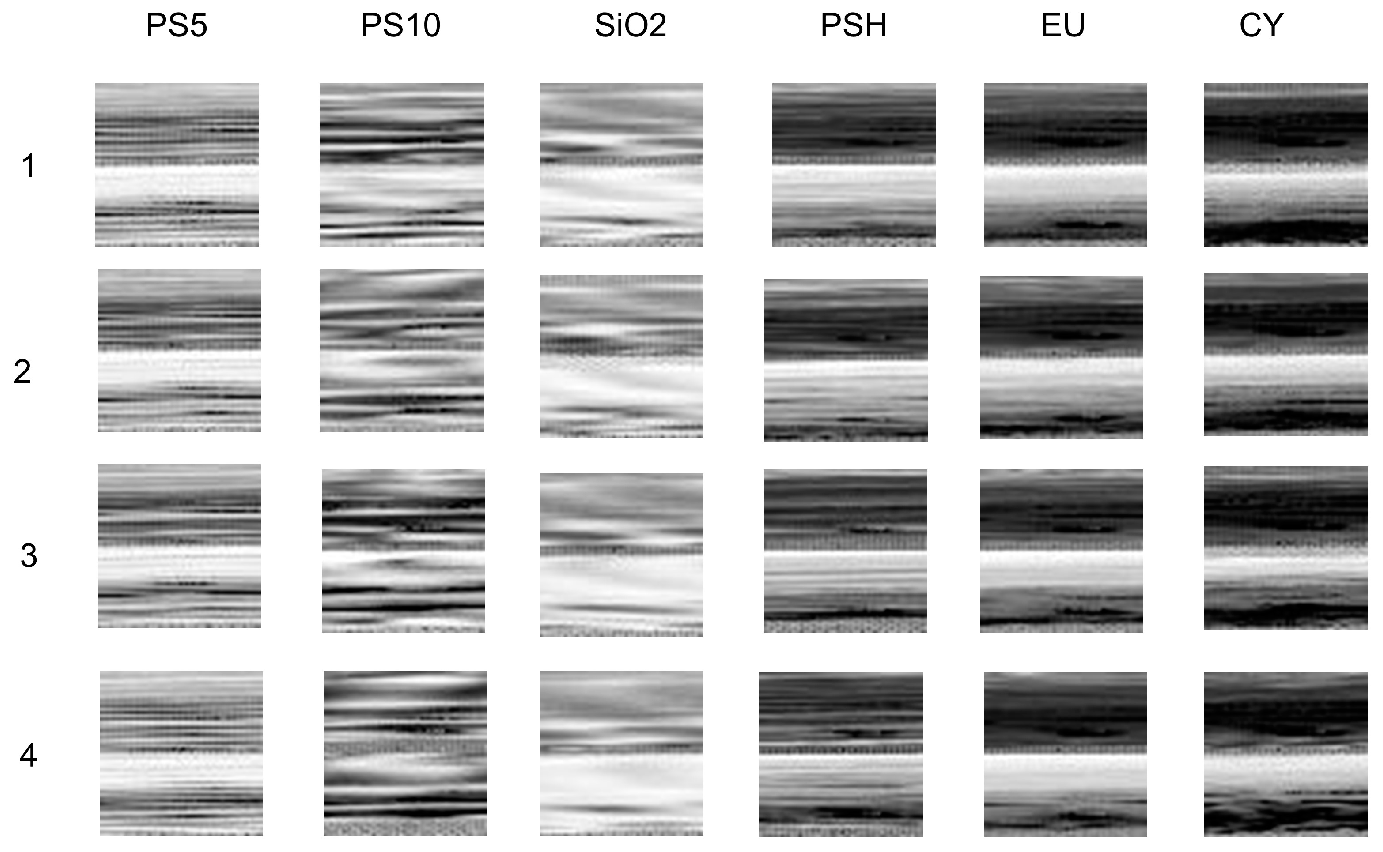Biosensors 12 00321 g005