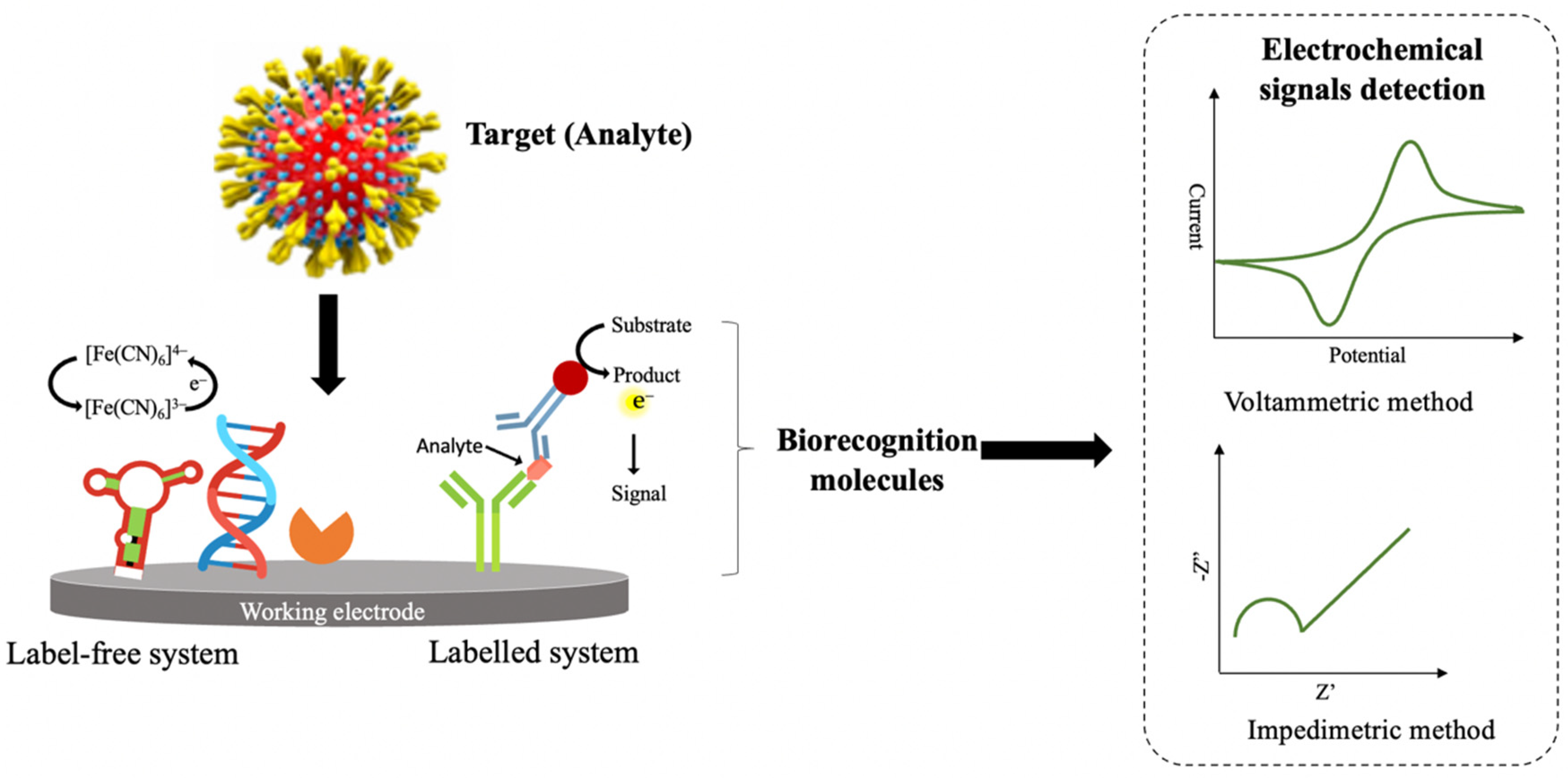 Biosensors 12 00473 g002