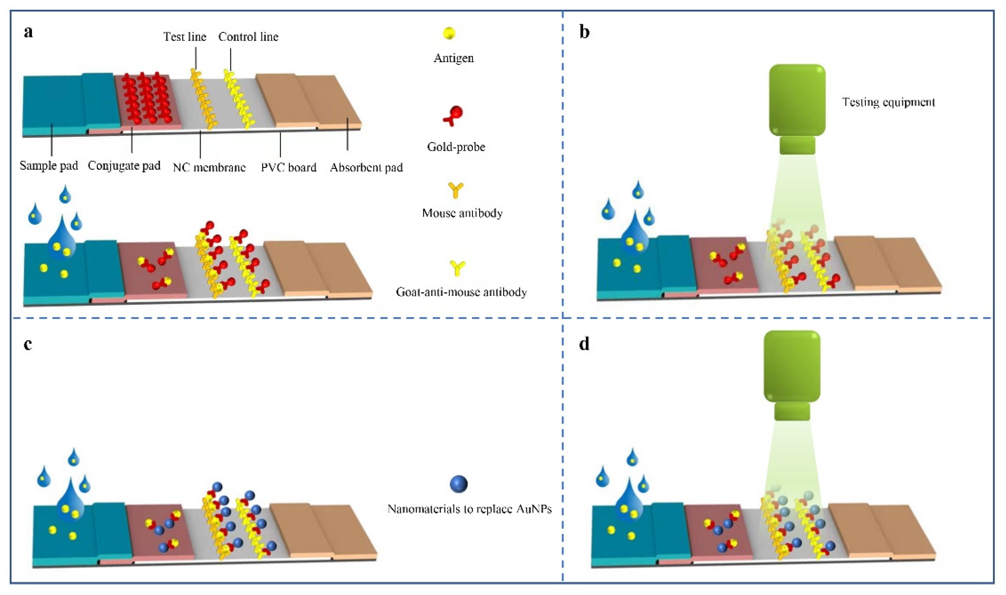 Biosensors 12 00485 g003