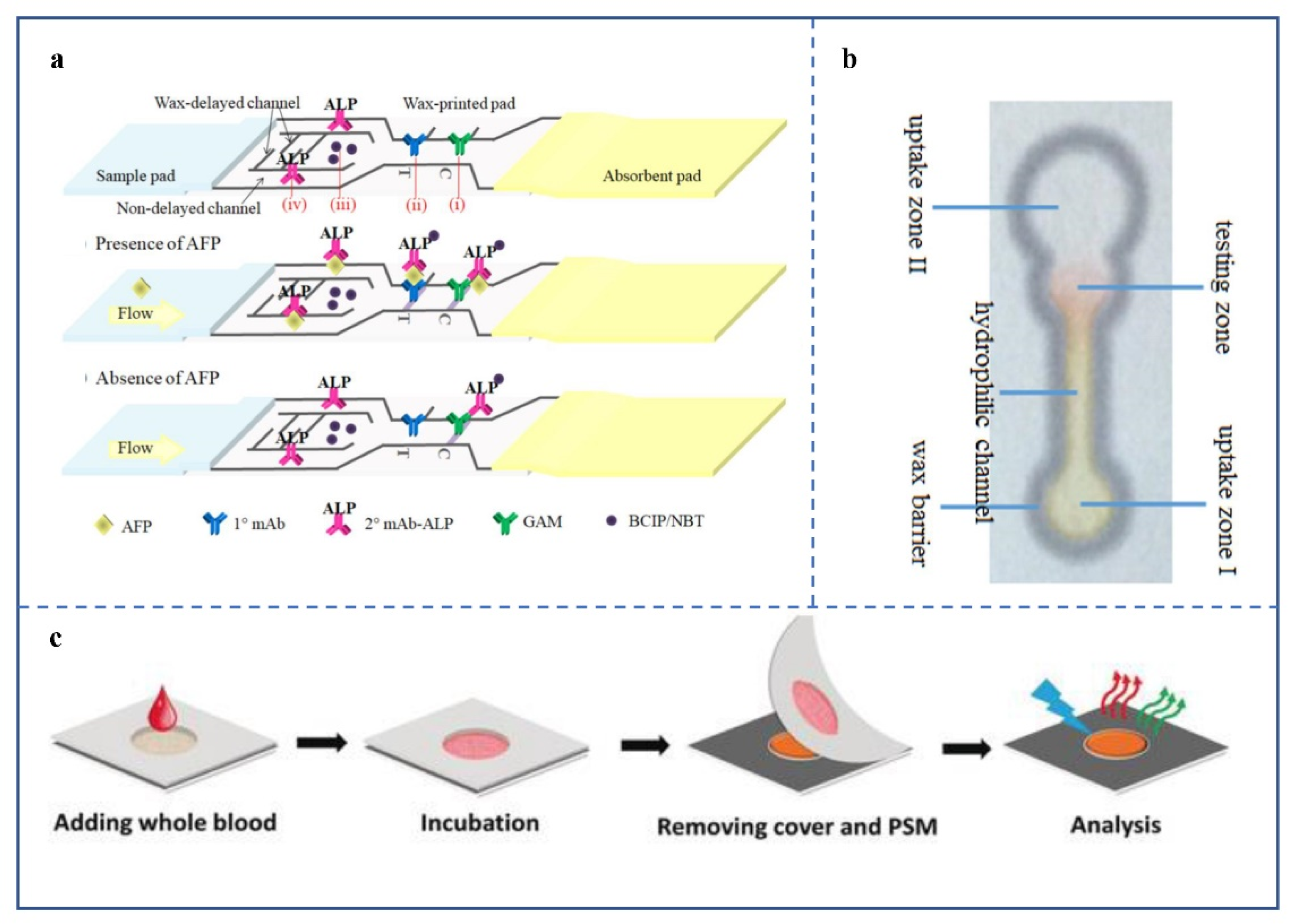 Biosensors 12 00485 g004