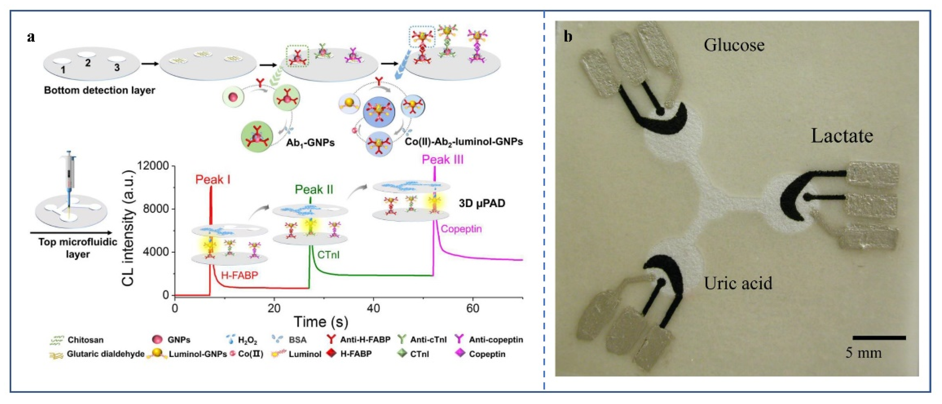 Biosensors 12 00485 g005