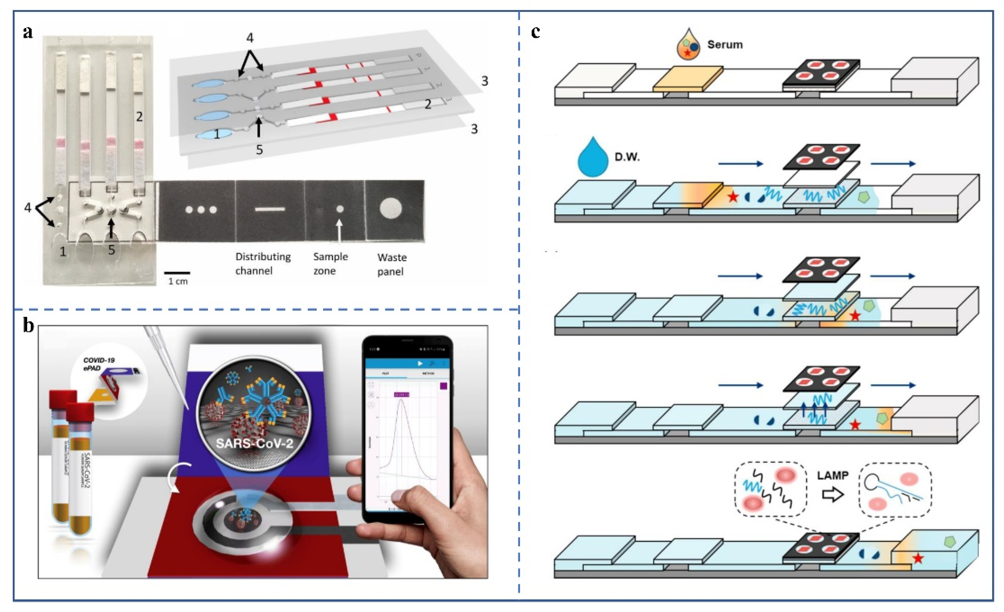 Biosensors 12 00485 g006