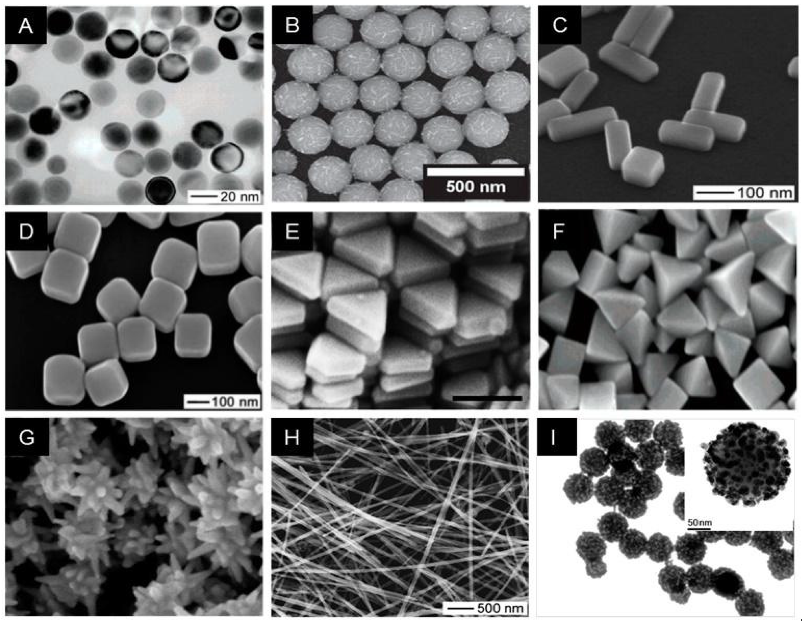 Biosensors Free Full Text Recent Advances In Nanomaterial Based