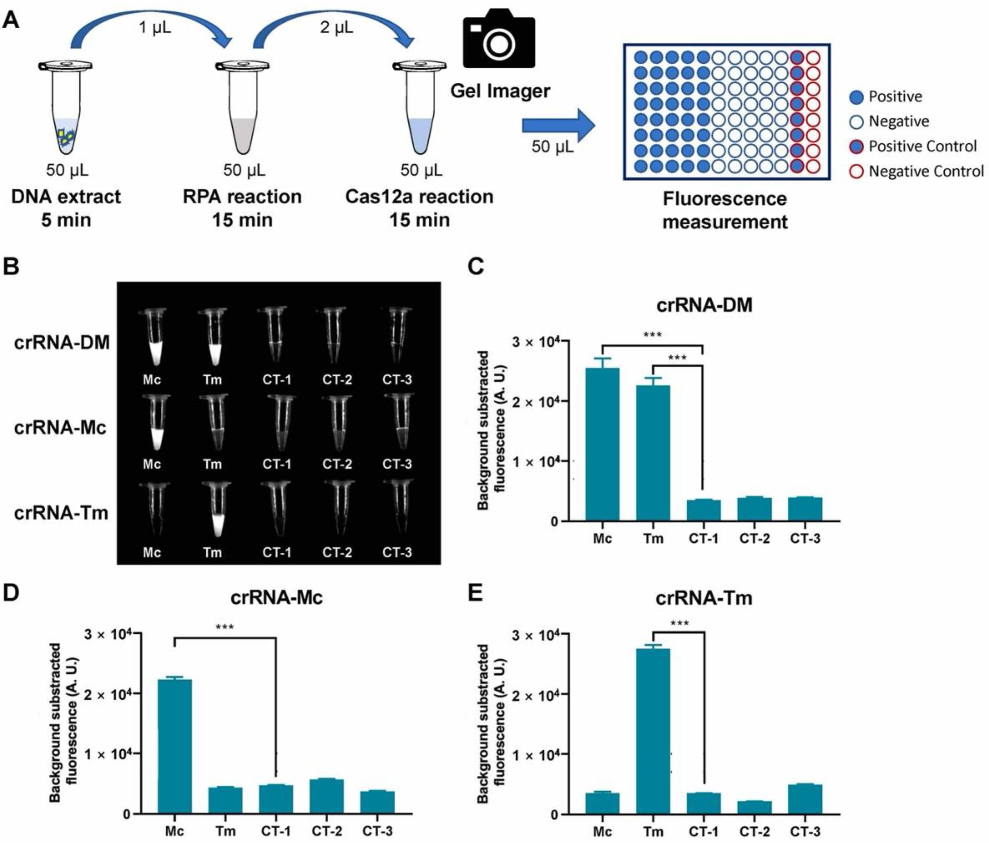 Biosensors 12 00636 g003
