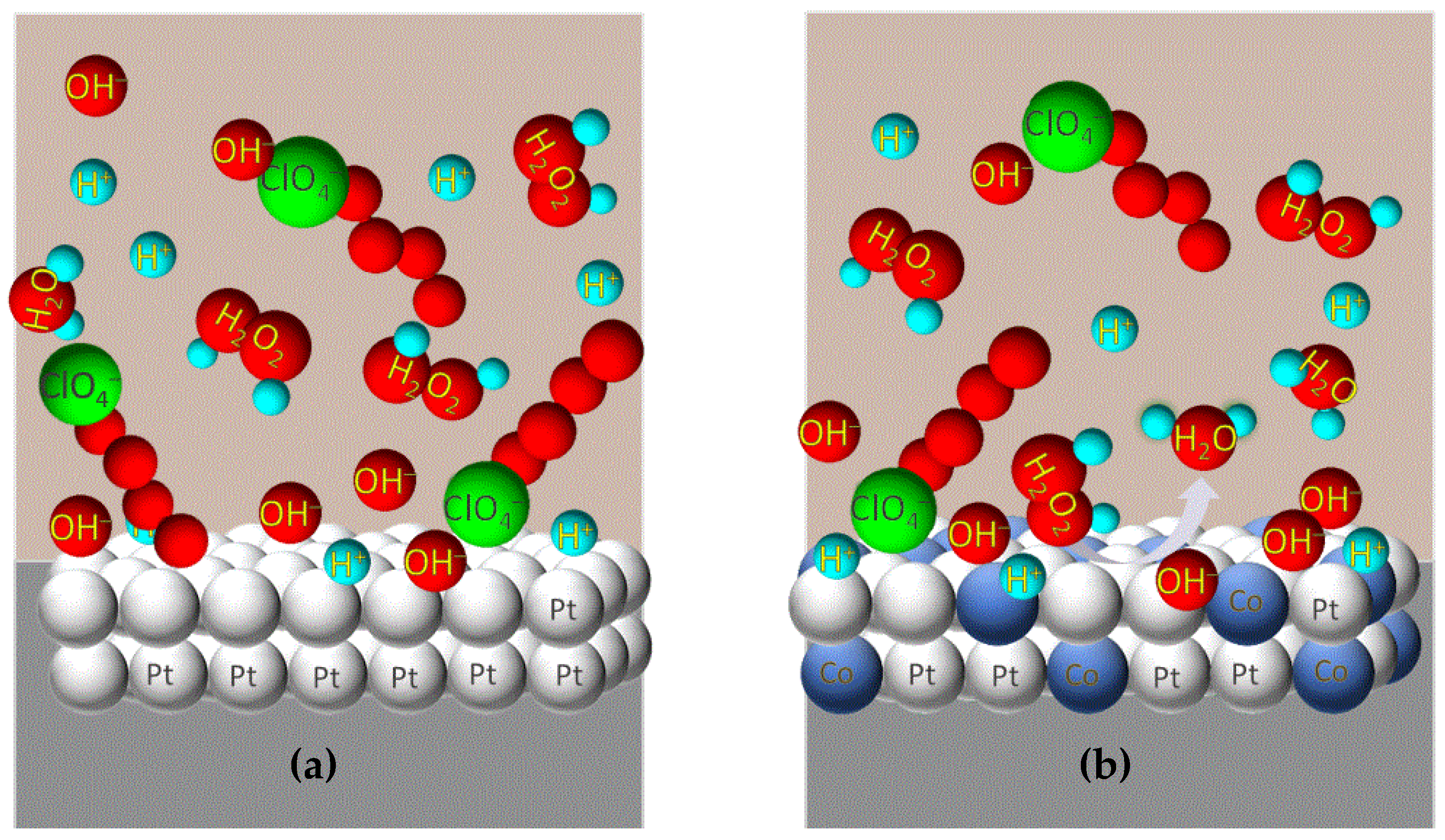 Biosensors 12 00672 g003