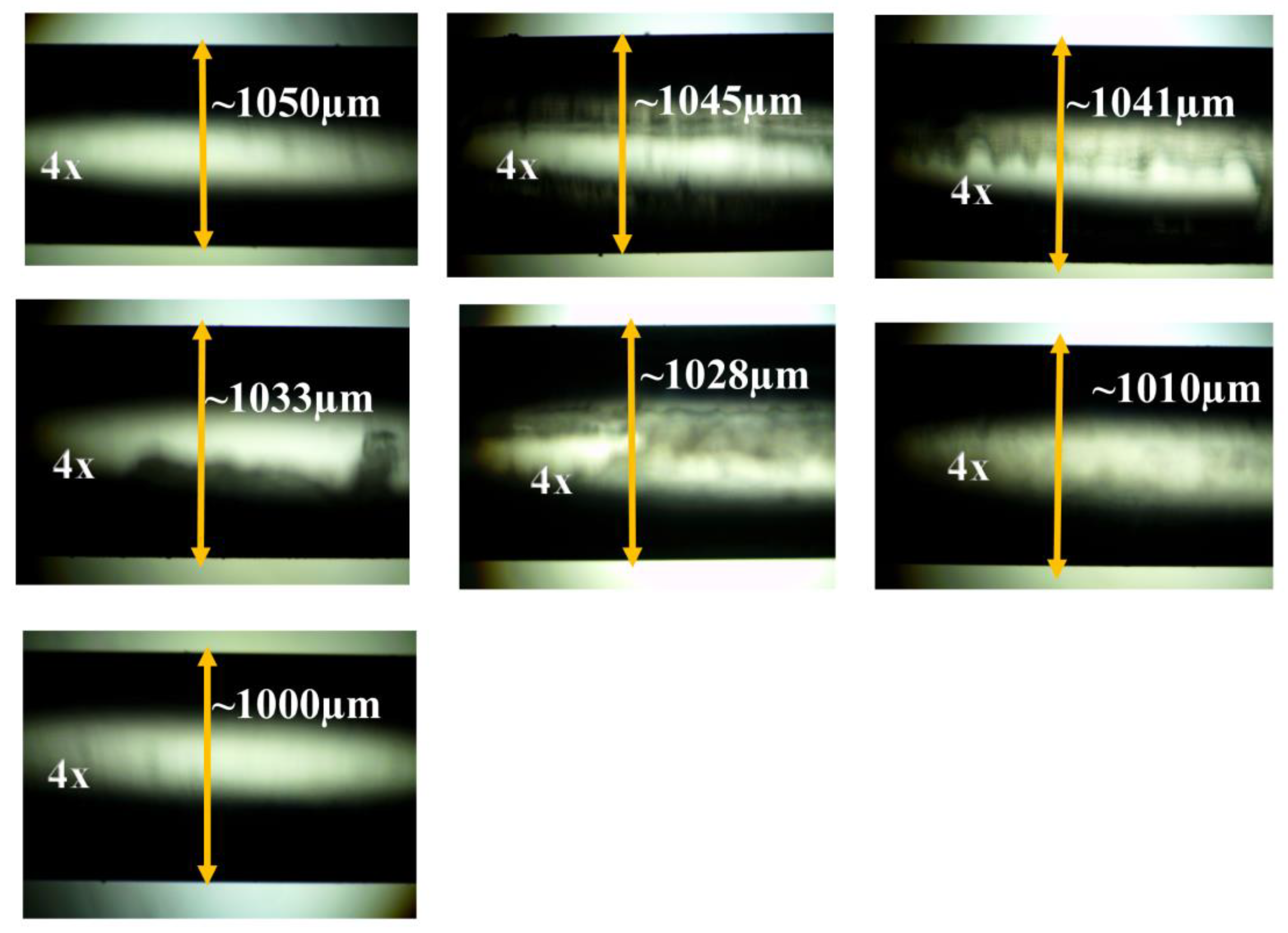 Biosensors 12 00734 g002