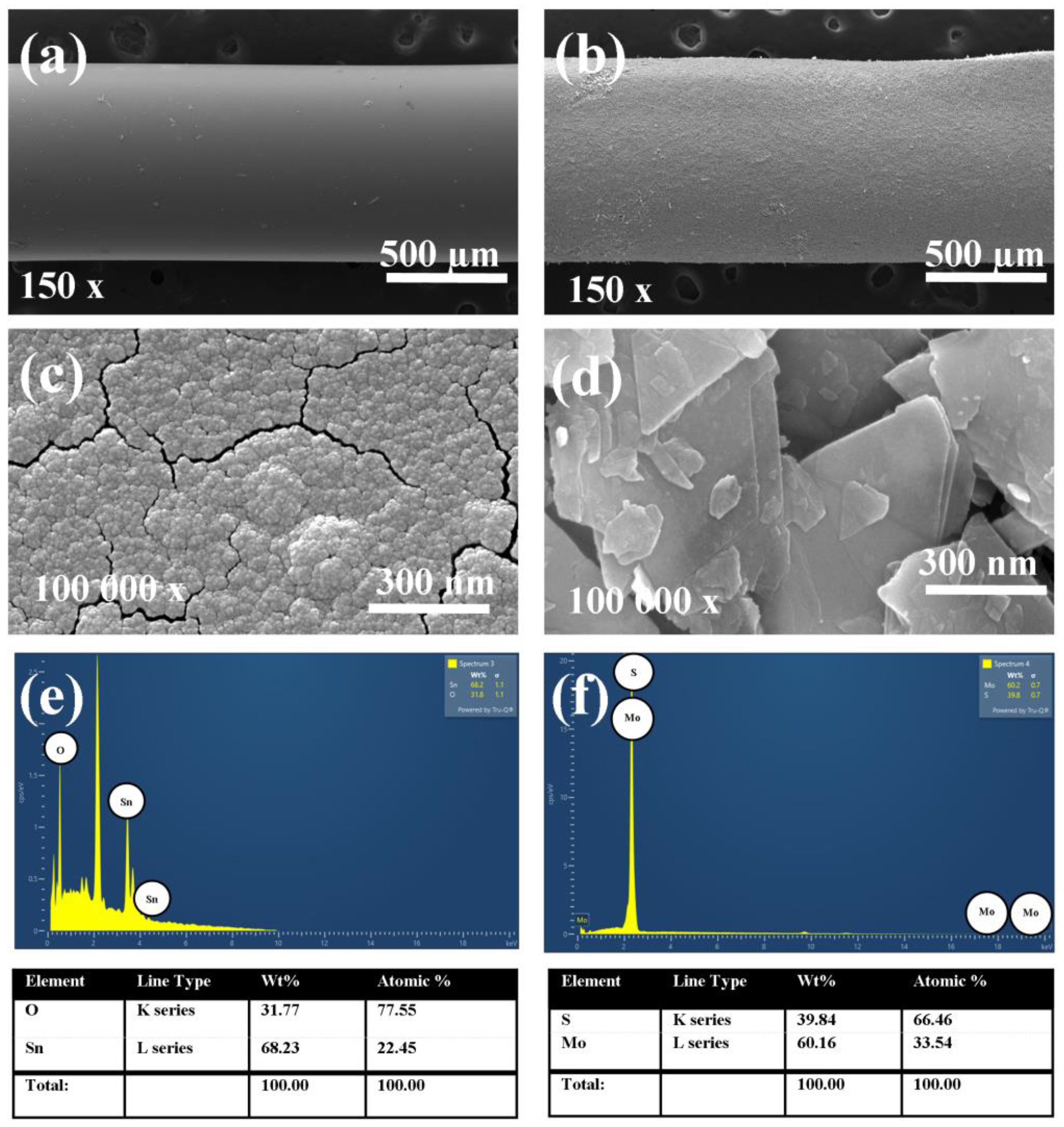 Biosensors 12 00734 g004