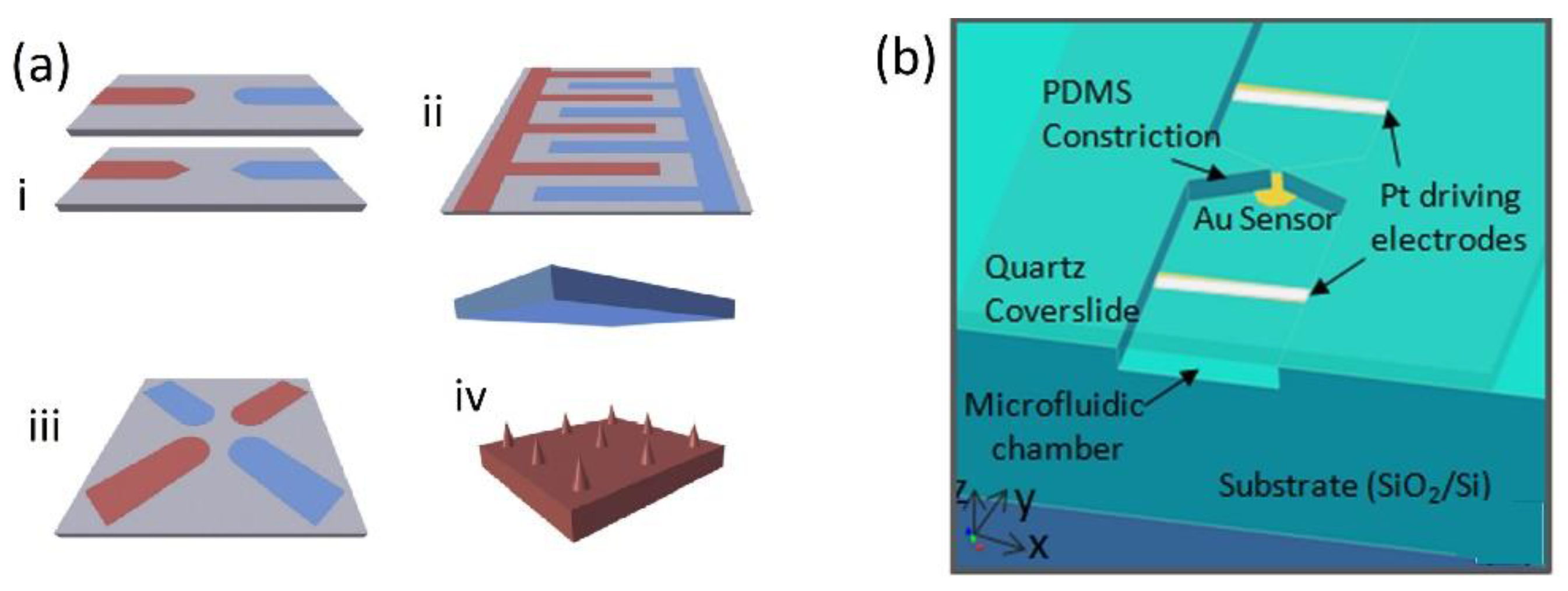 Biosensors 12 00784 g003
