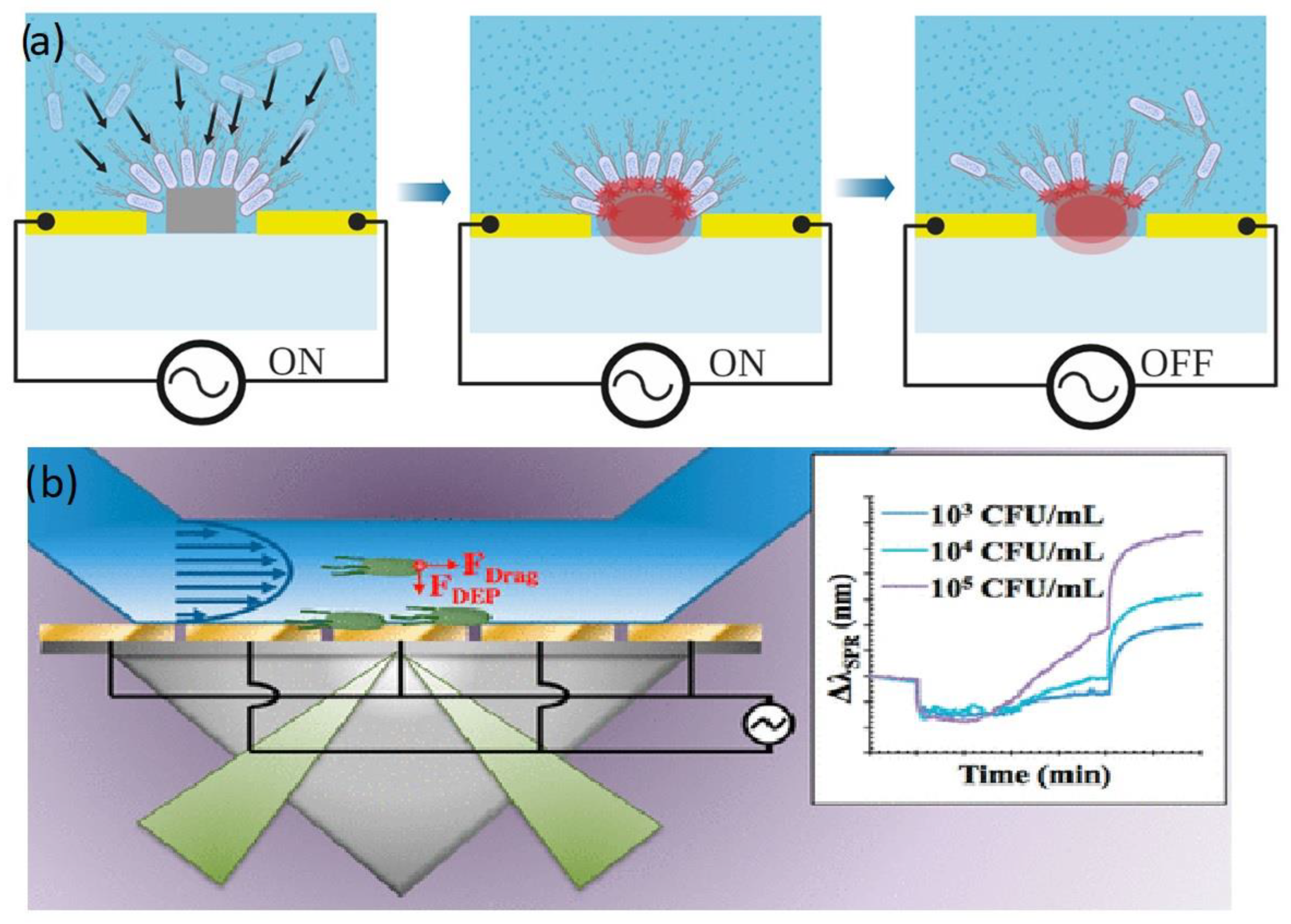 Biosensors 12 00784 g005