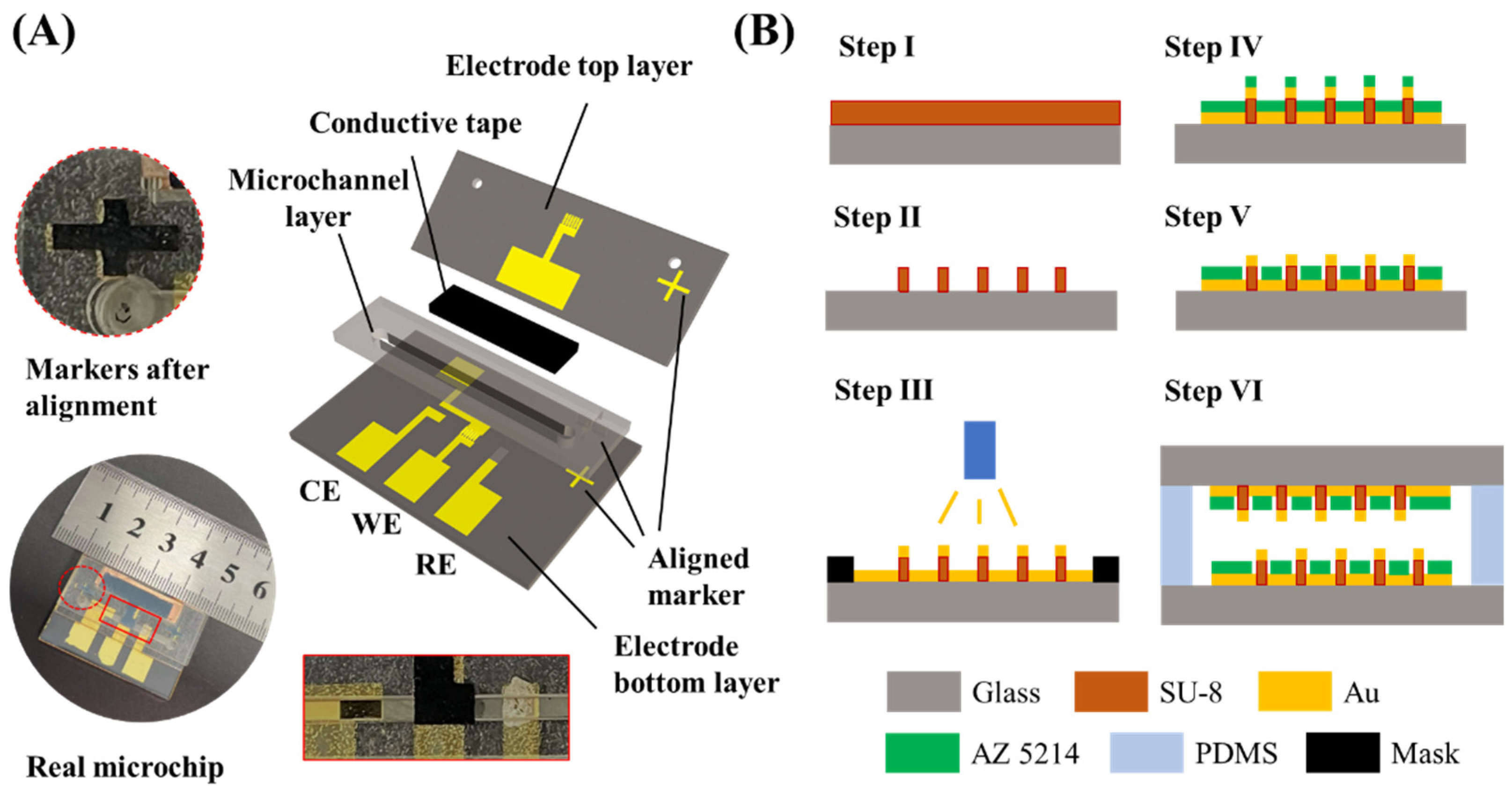 Biosensors 12 00878 g002