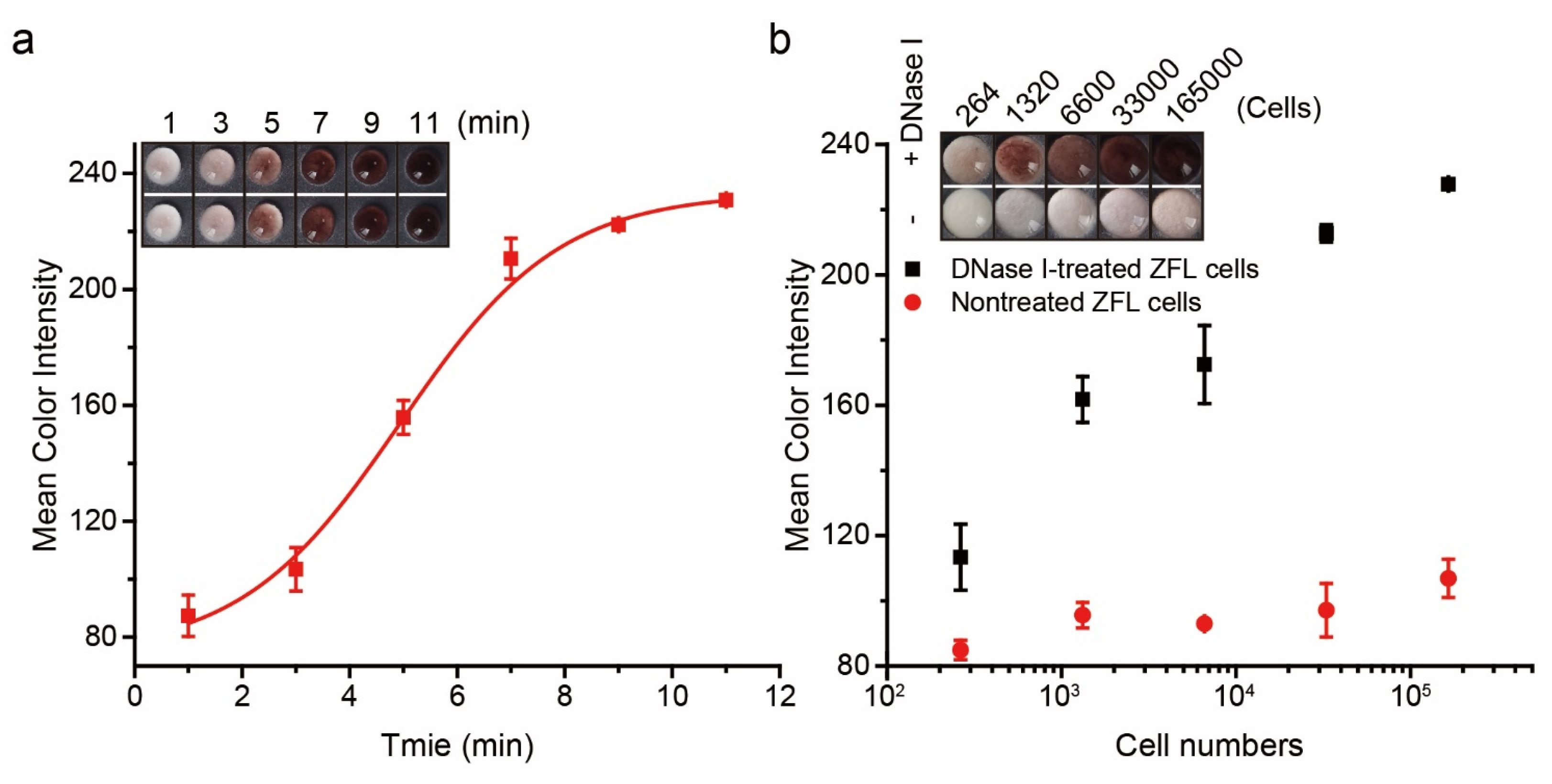 Biosensors 12 01012 g003