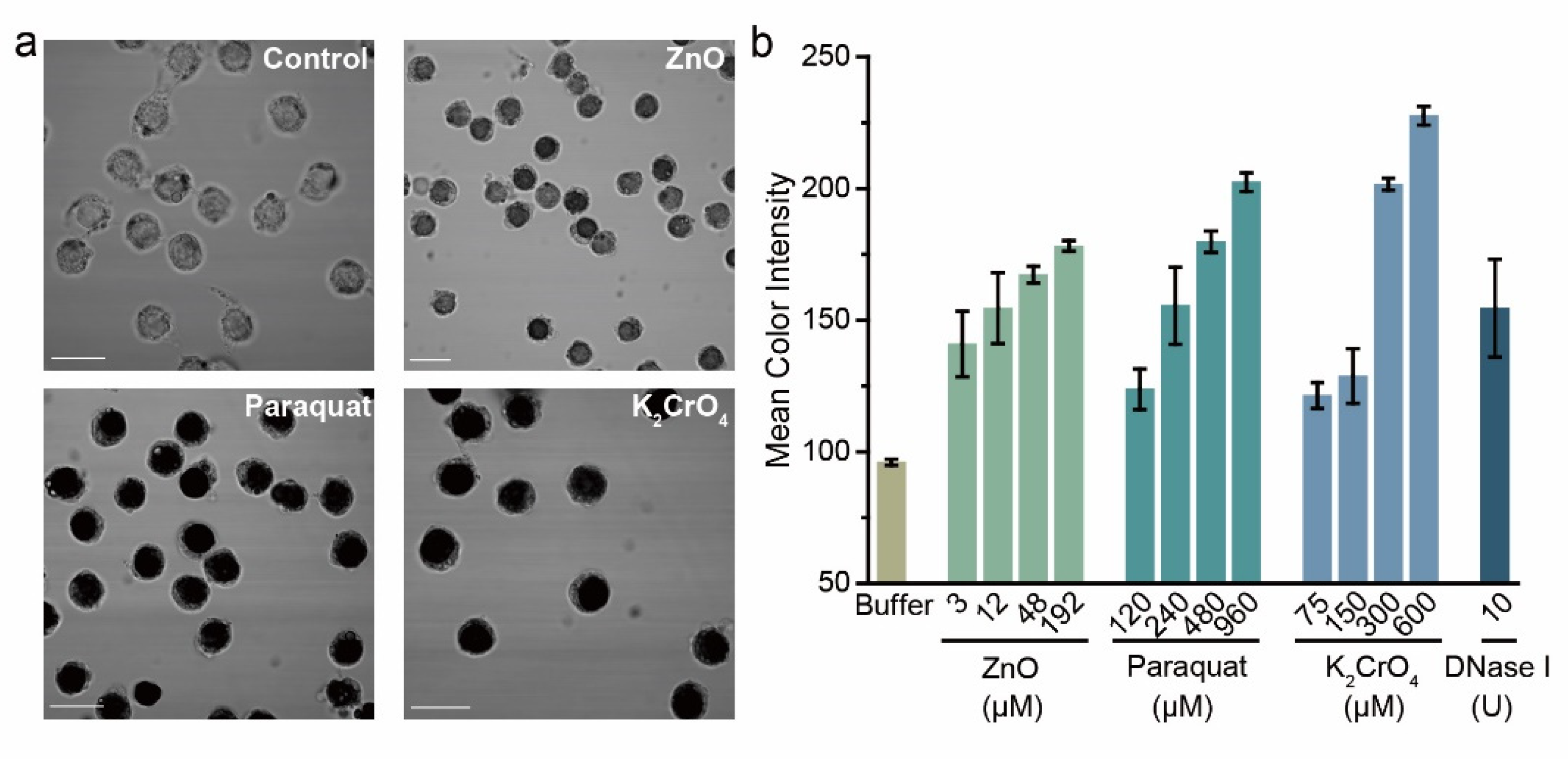 Biosensors 12 01012 g004