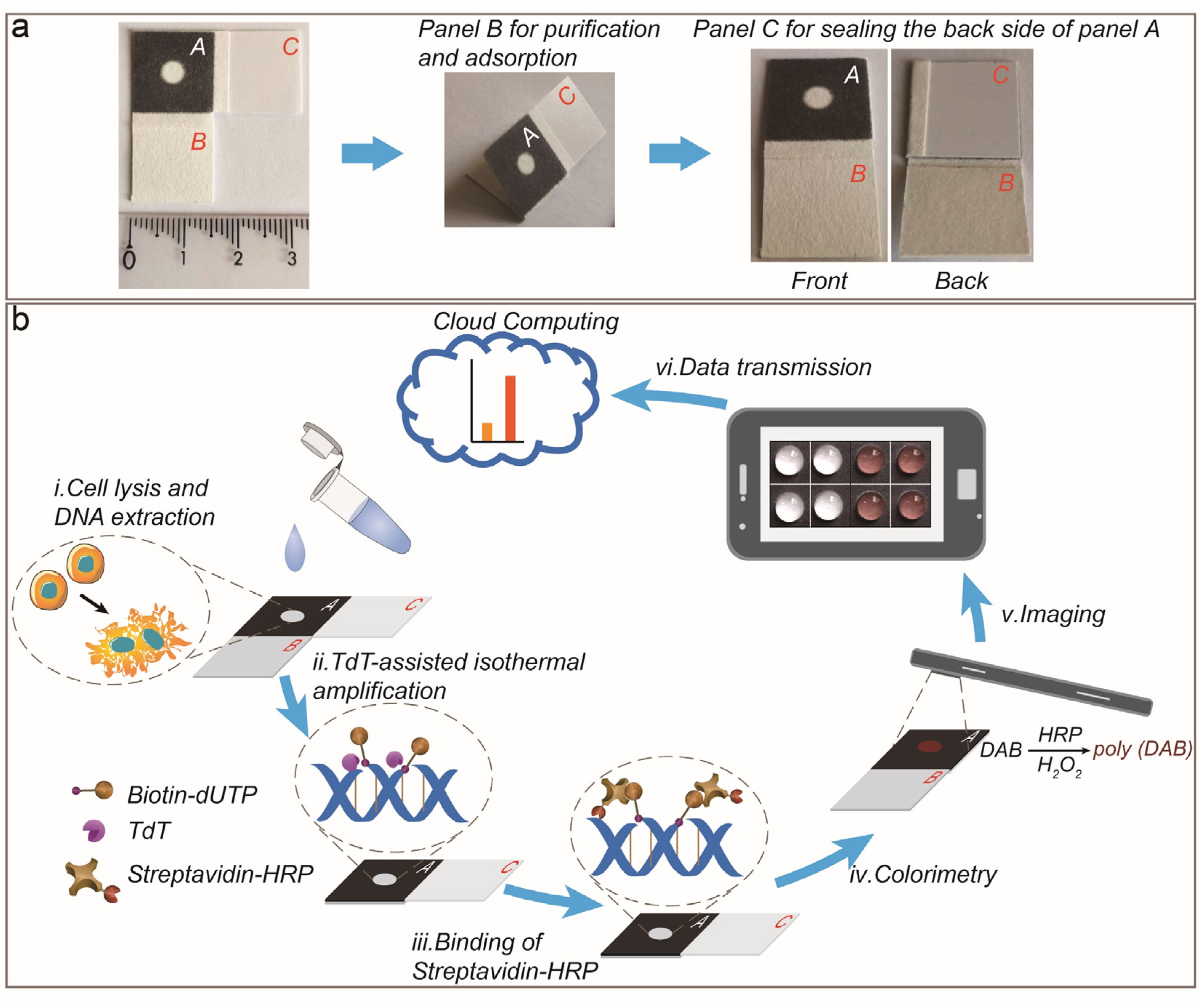 Biosensors 12 01012 sch001