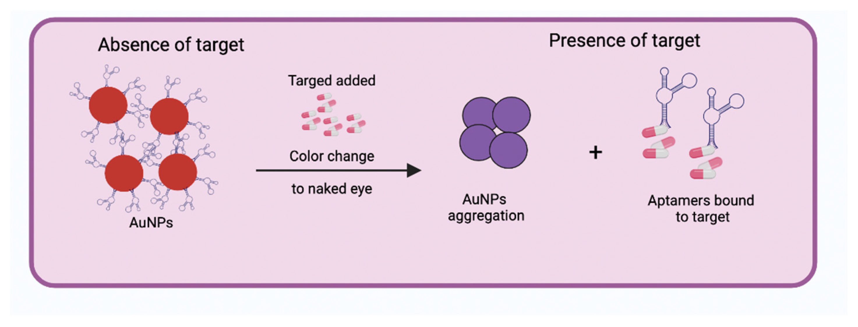 Biosensors 12 01078 g003