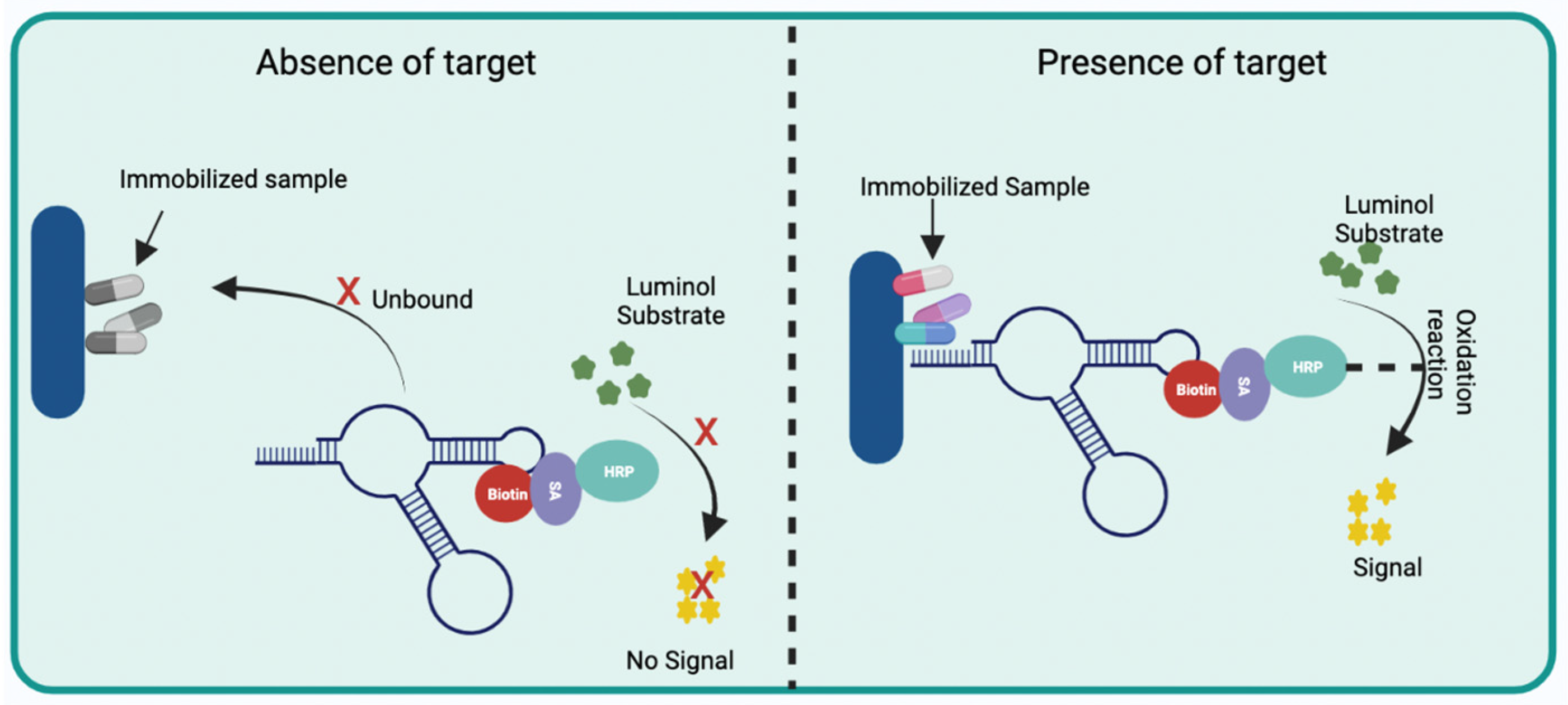 Biosensors 12 01078 g005