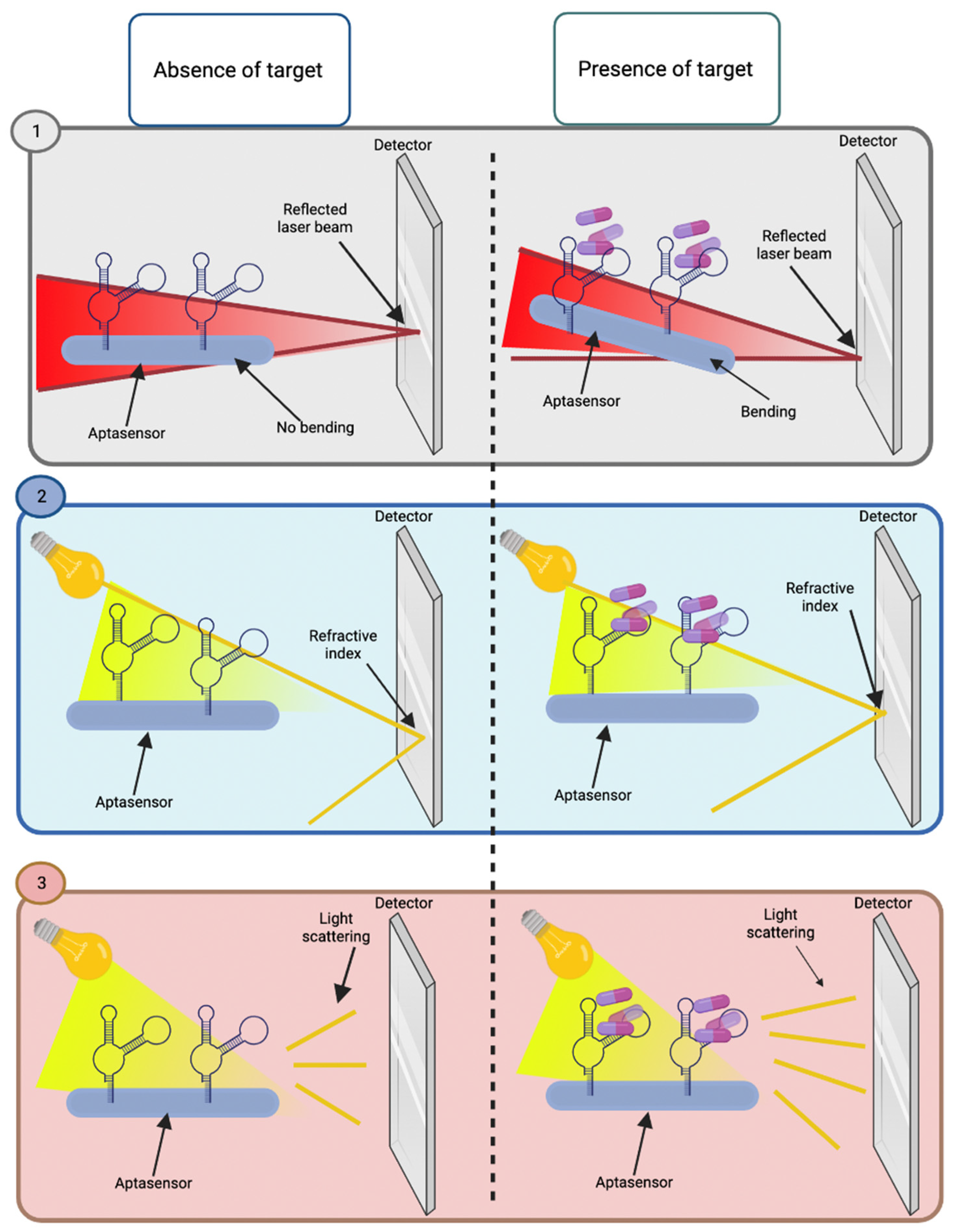 Biosensors 12 01078 g007