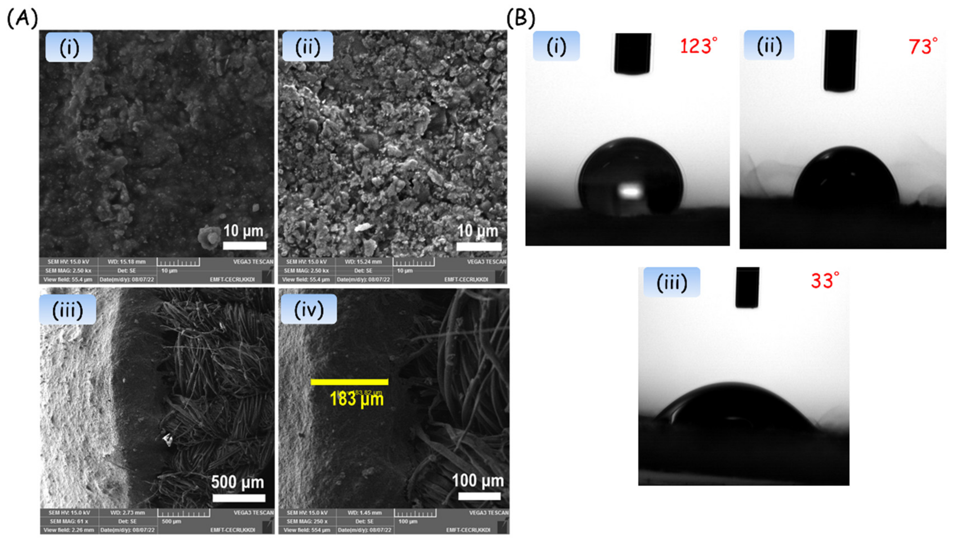 Biosensors 13 00006 g004