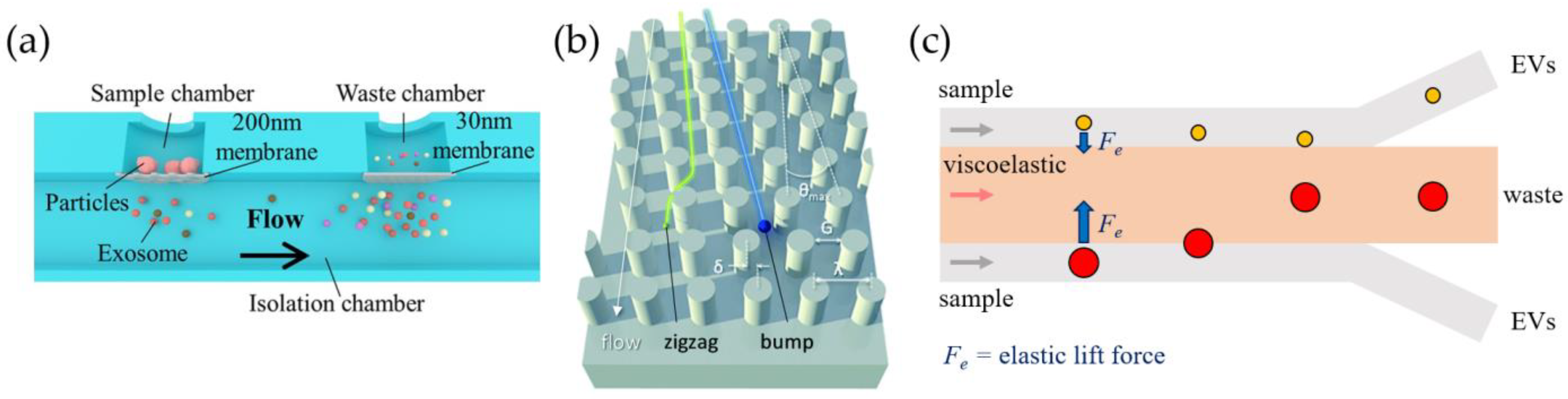 Biosensors 13 00050 g003