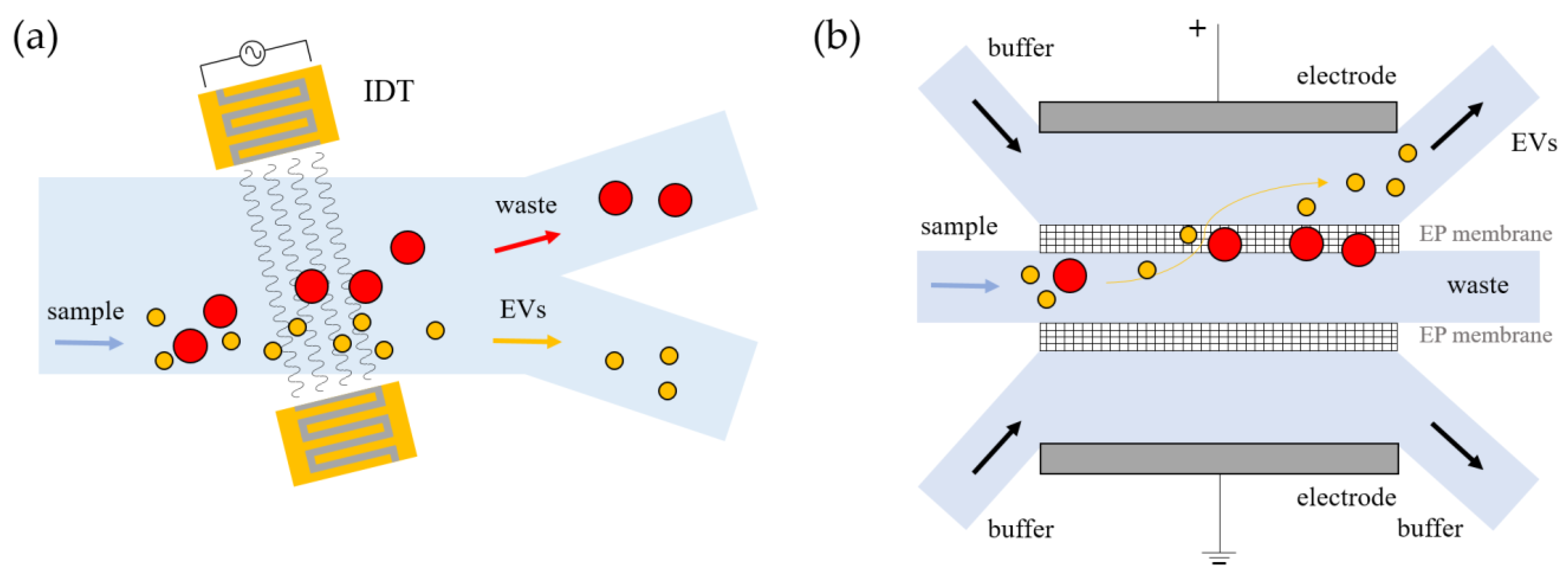 Biosensors 13 00050 g004