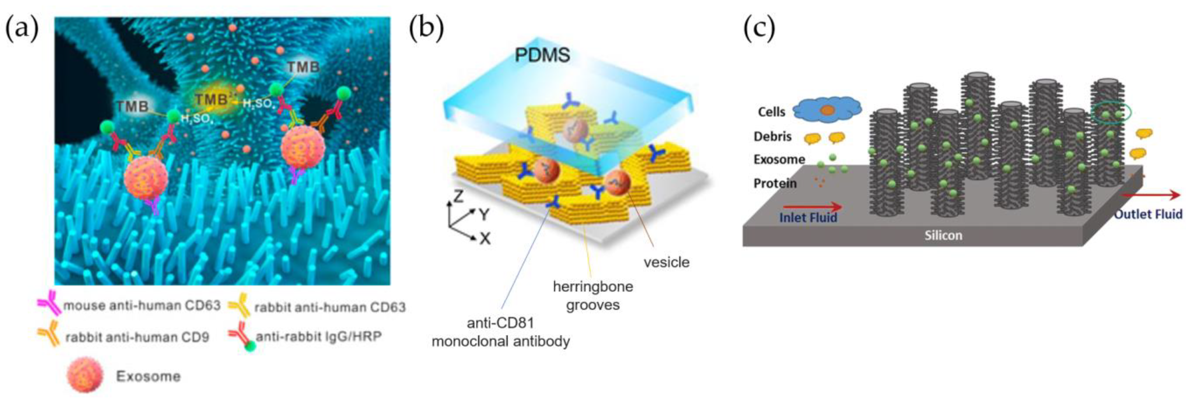 Biosensors 13 00050 g005