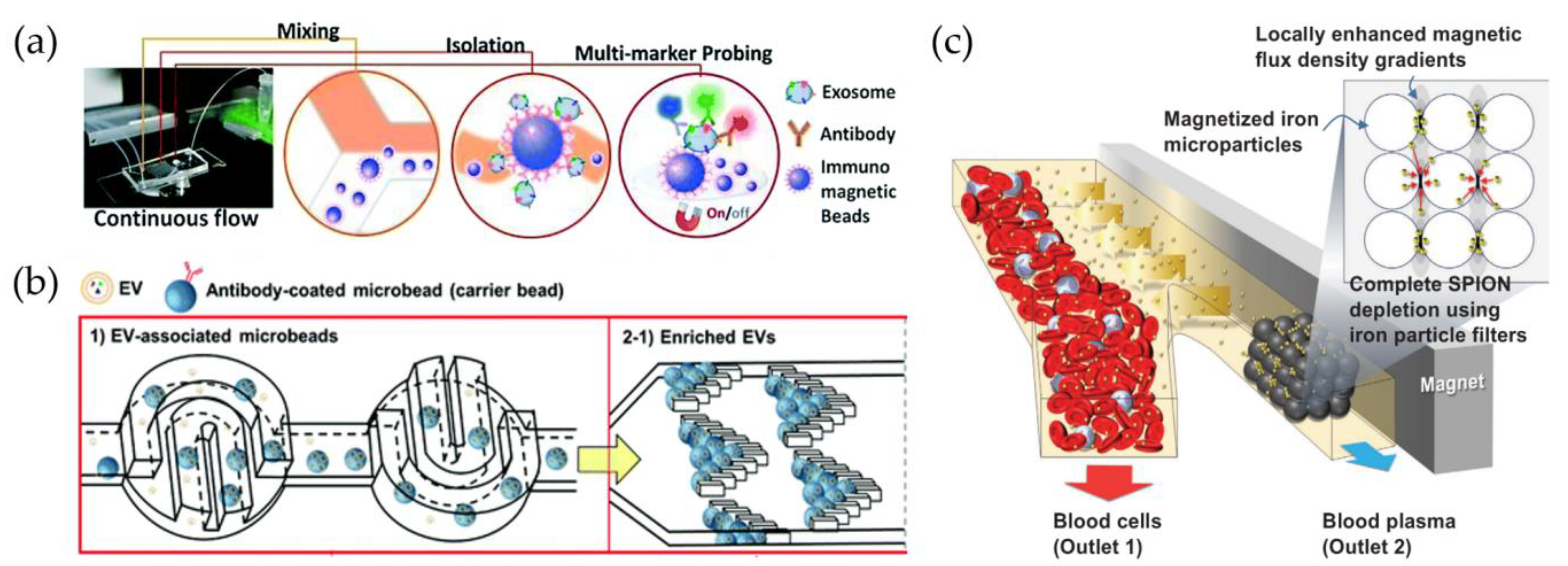 Biosensors 13 00050 g006