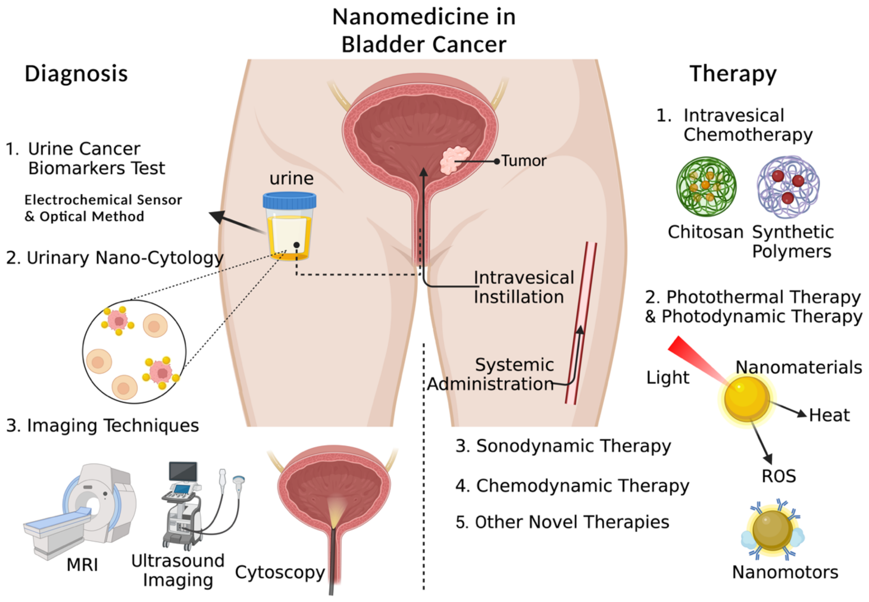 Biosensors 13 00106 g001